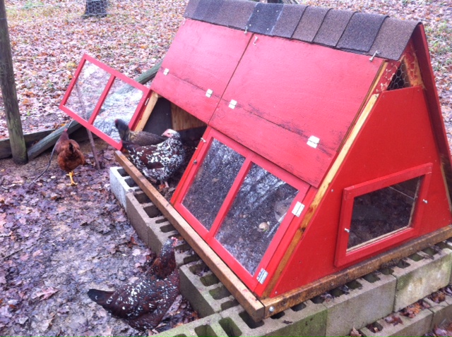 A-frame, fall 2012