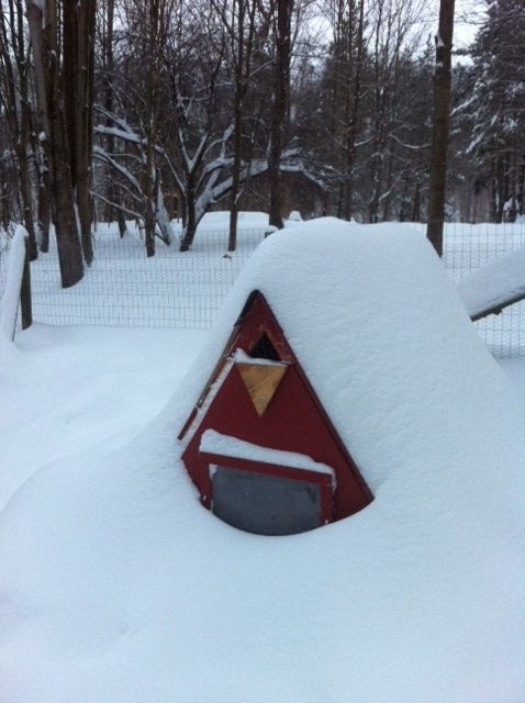 A-frame, winter 2012-2013