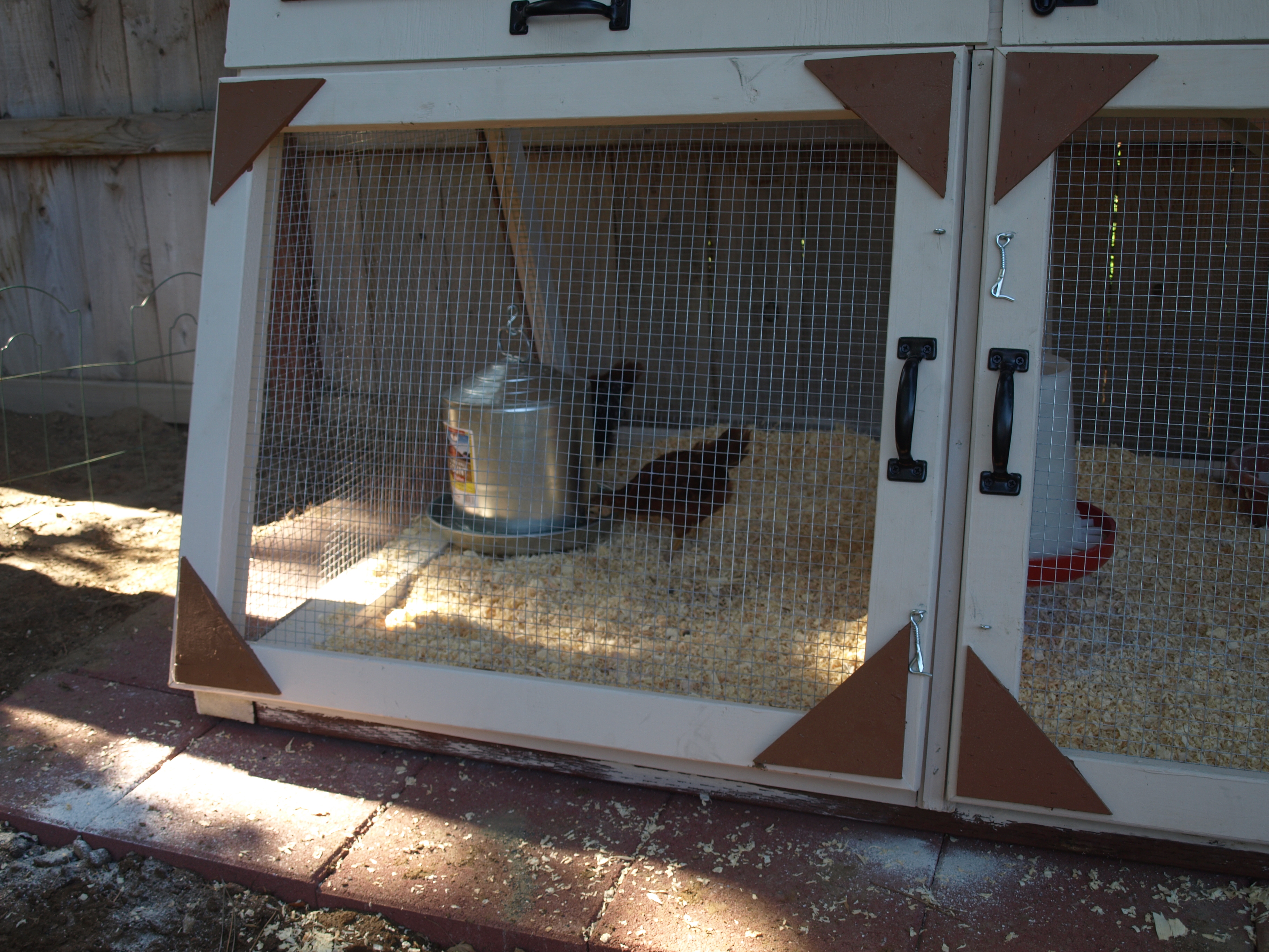 A fresh drink but we switched positions for the feeder and water.