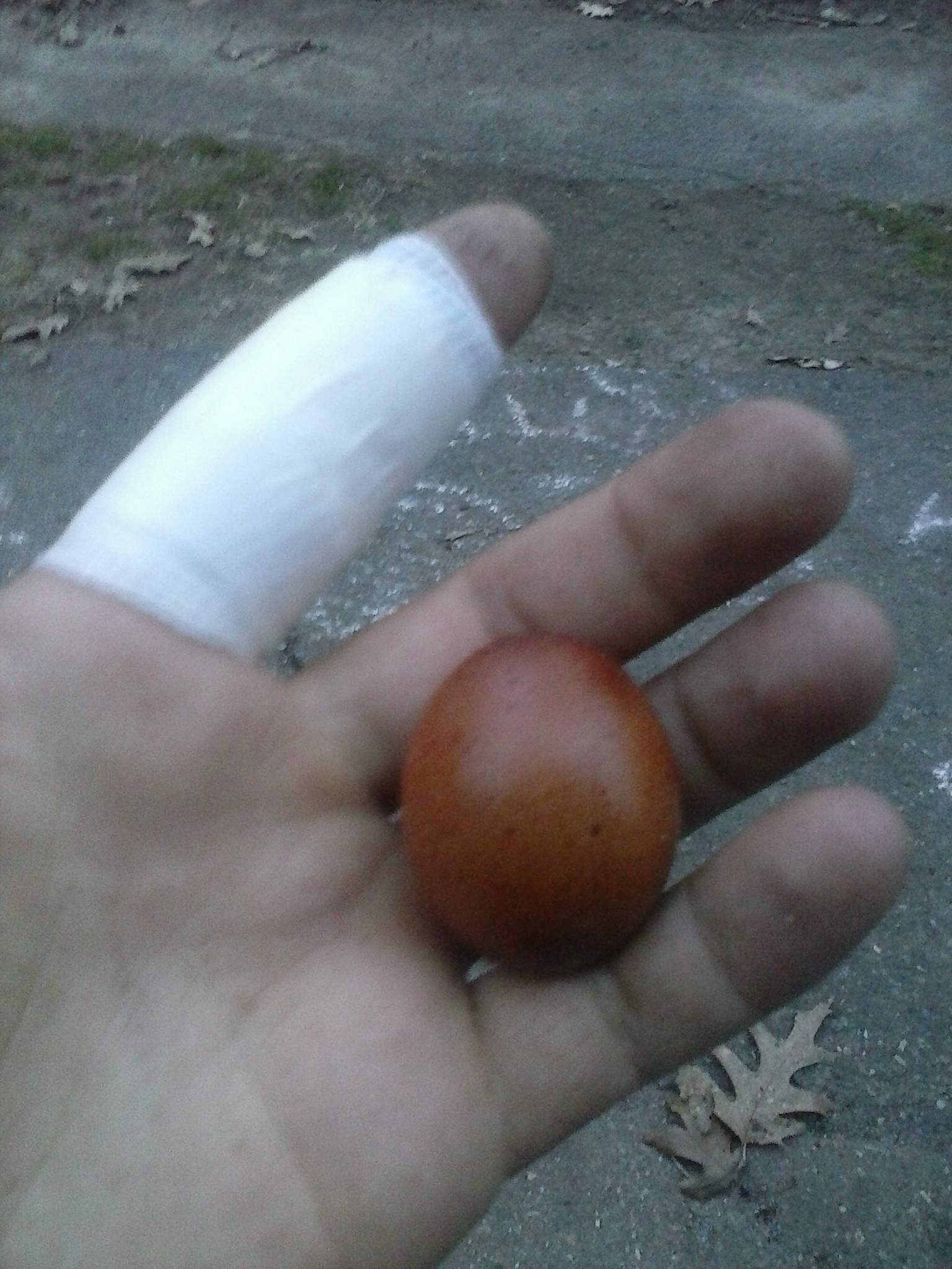a gag egg i received from a friend