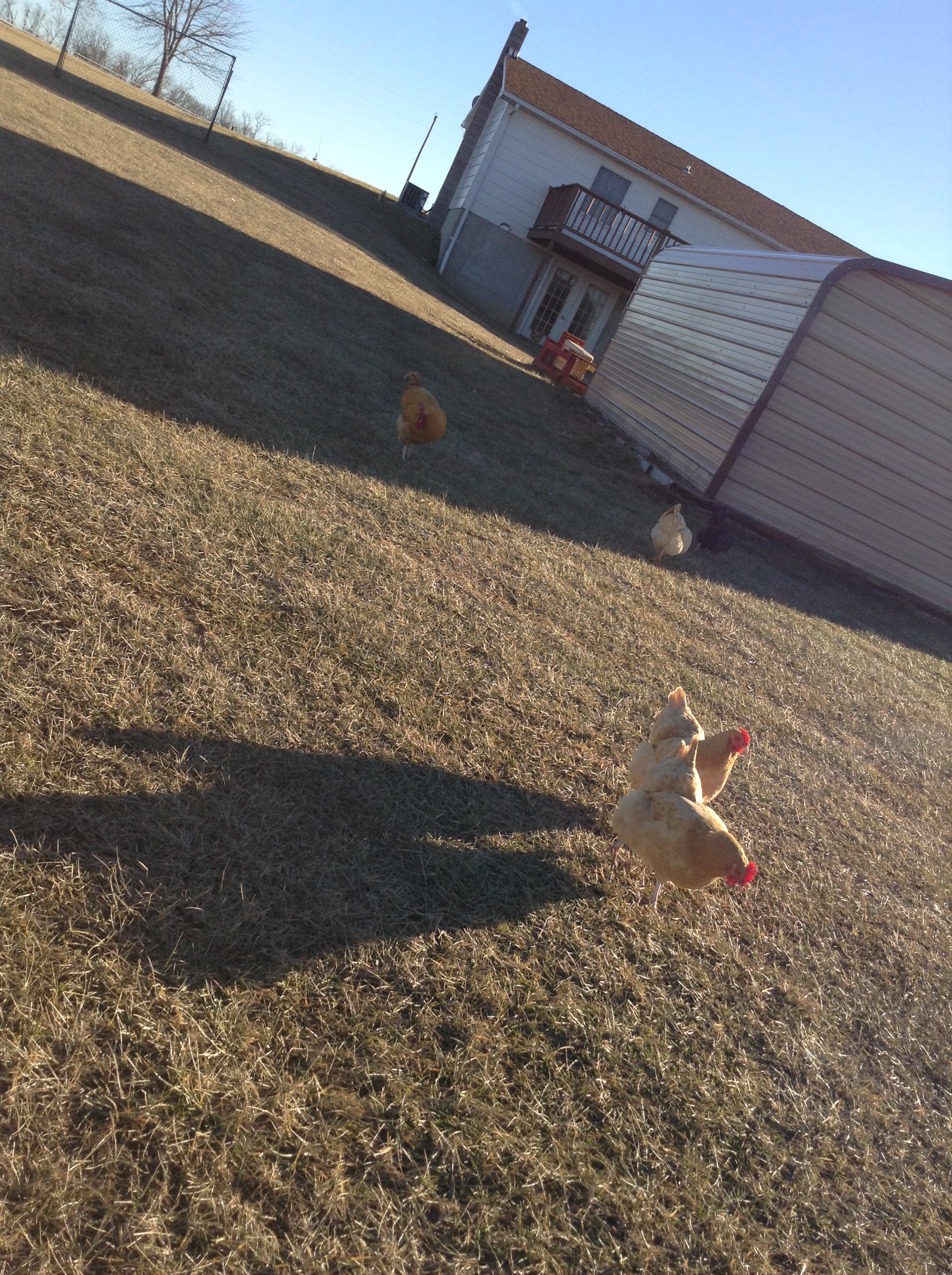 A great day on the farm!!