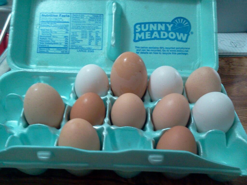 A huge double yolker egg we got the other day! Its the biggest one we gotten out of the other 2 double yolkers!