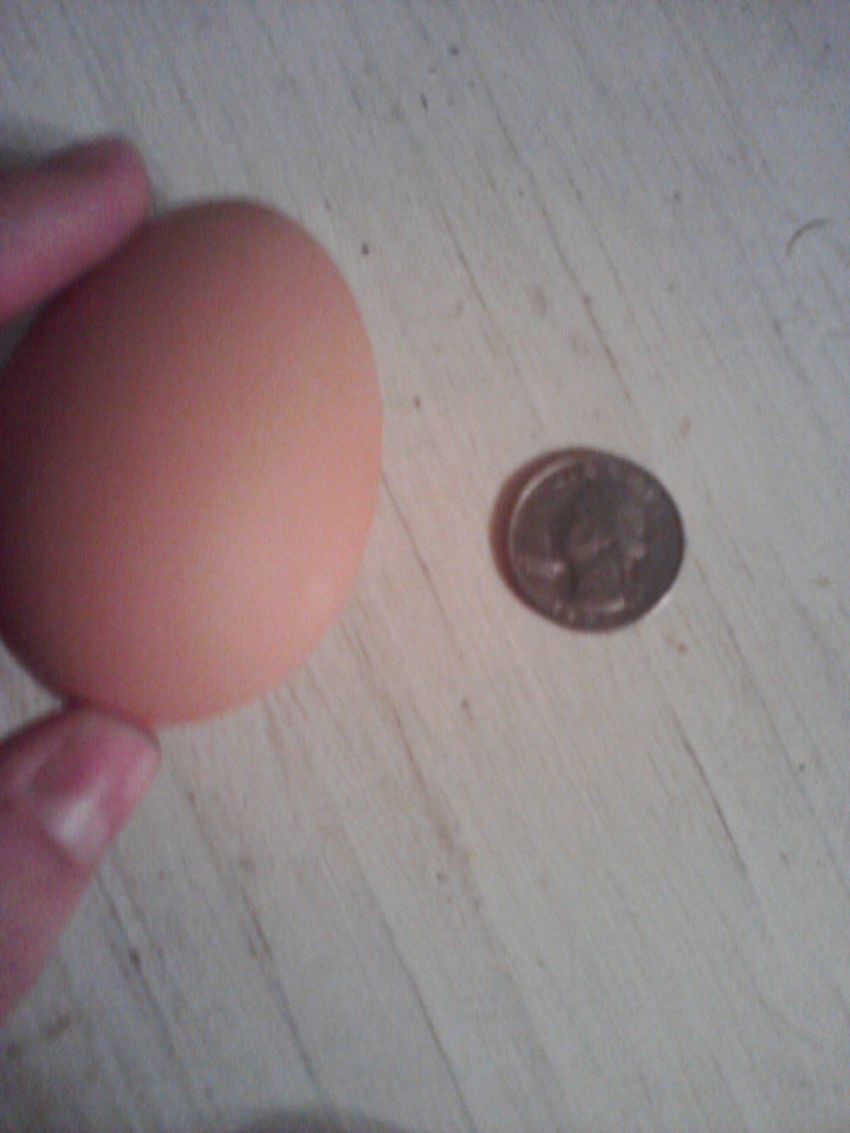 A large egg