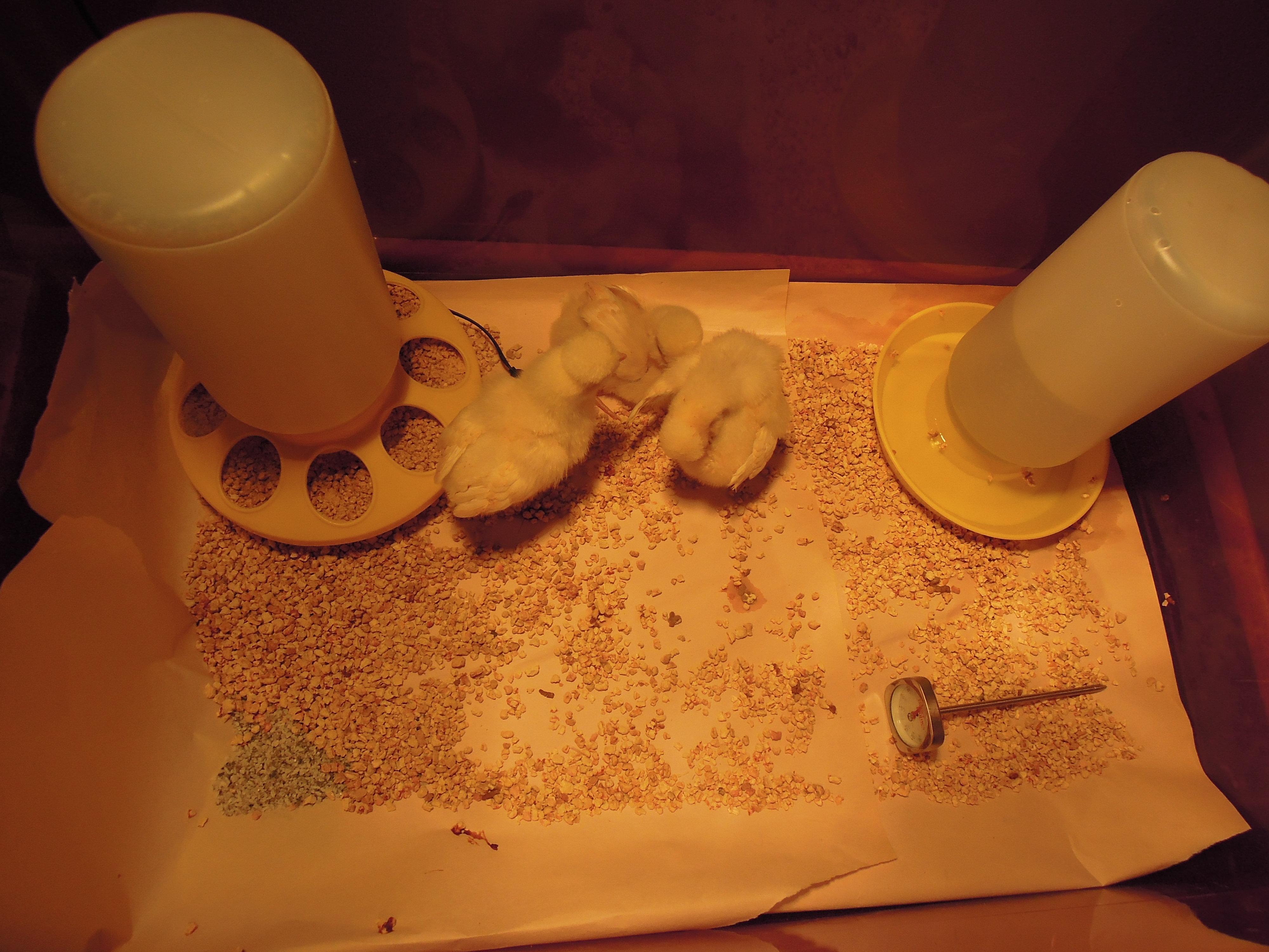 A little bit bigger space for Day 2.