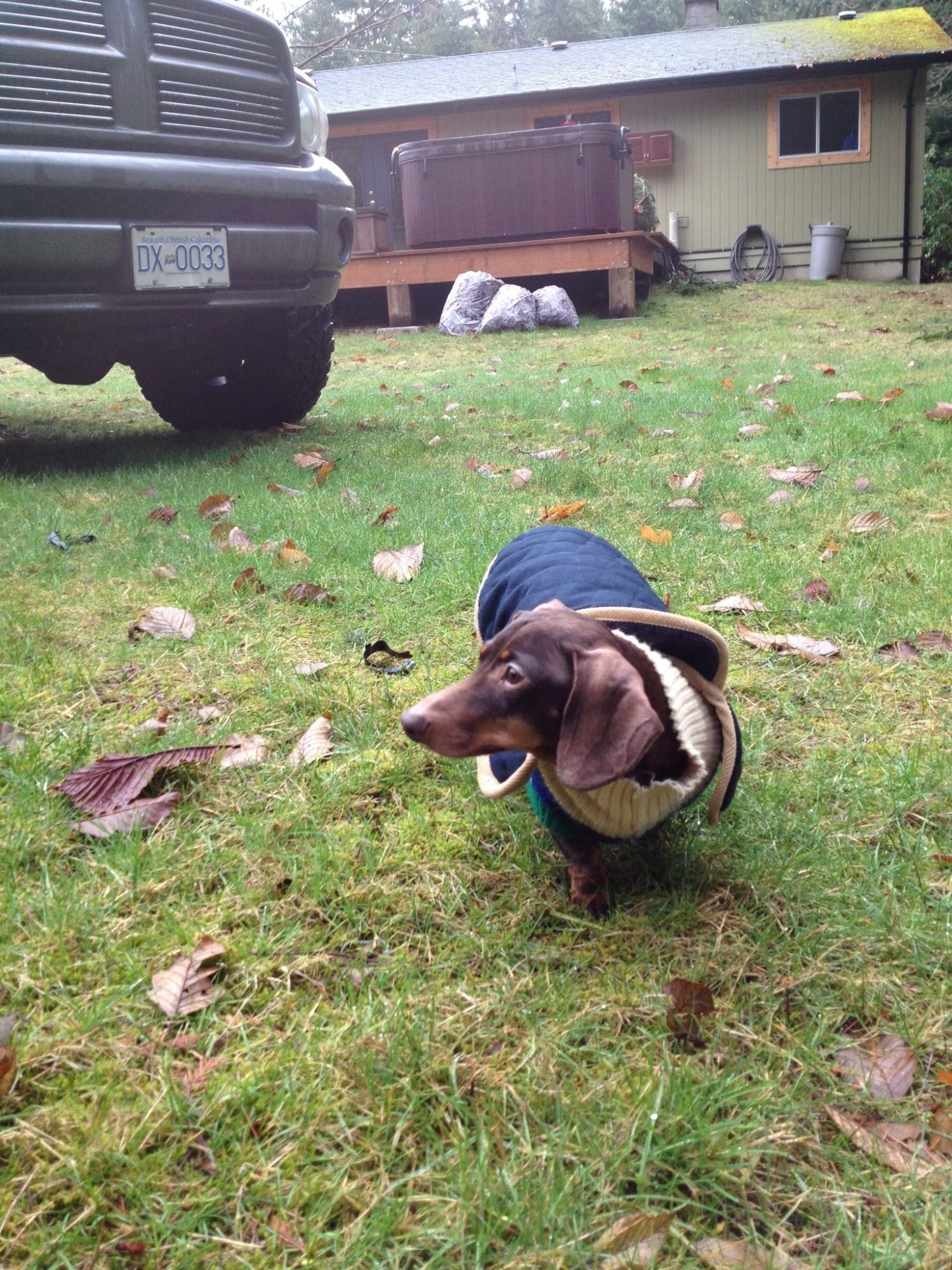 A little cold outside