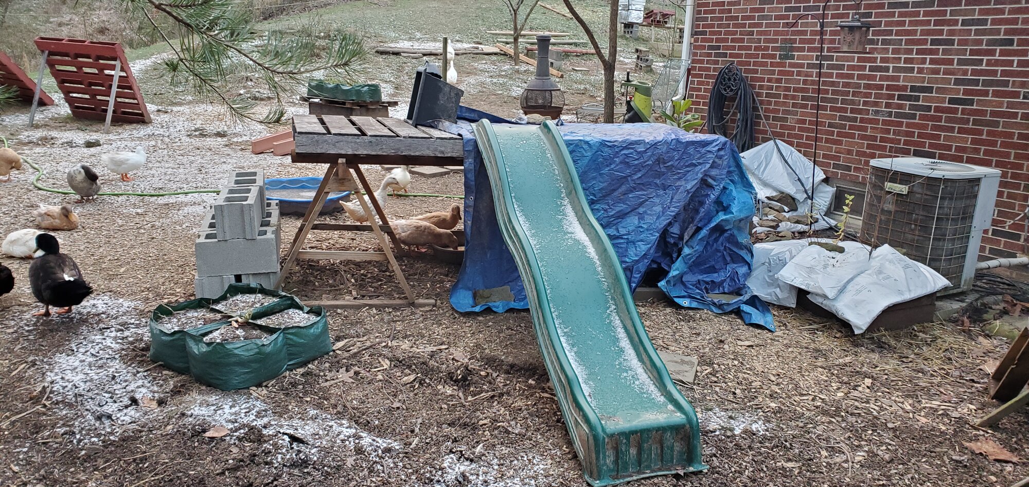A little duck-tent
