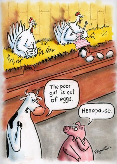 A little farm humor ;)