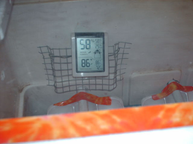 A little under 2 hours' being on... taking ~forever~ to warm up... *sigh*