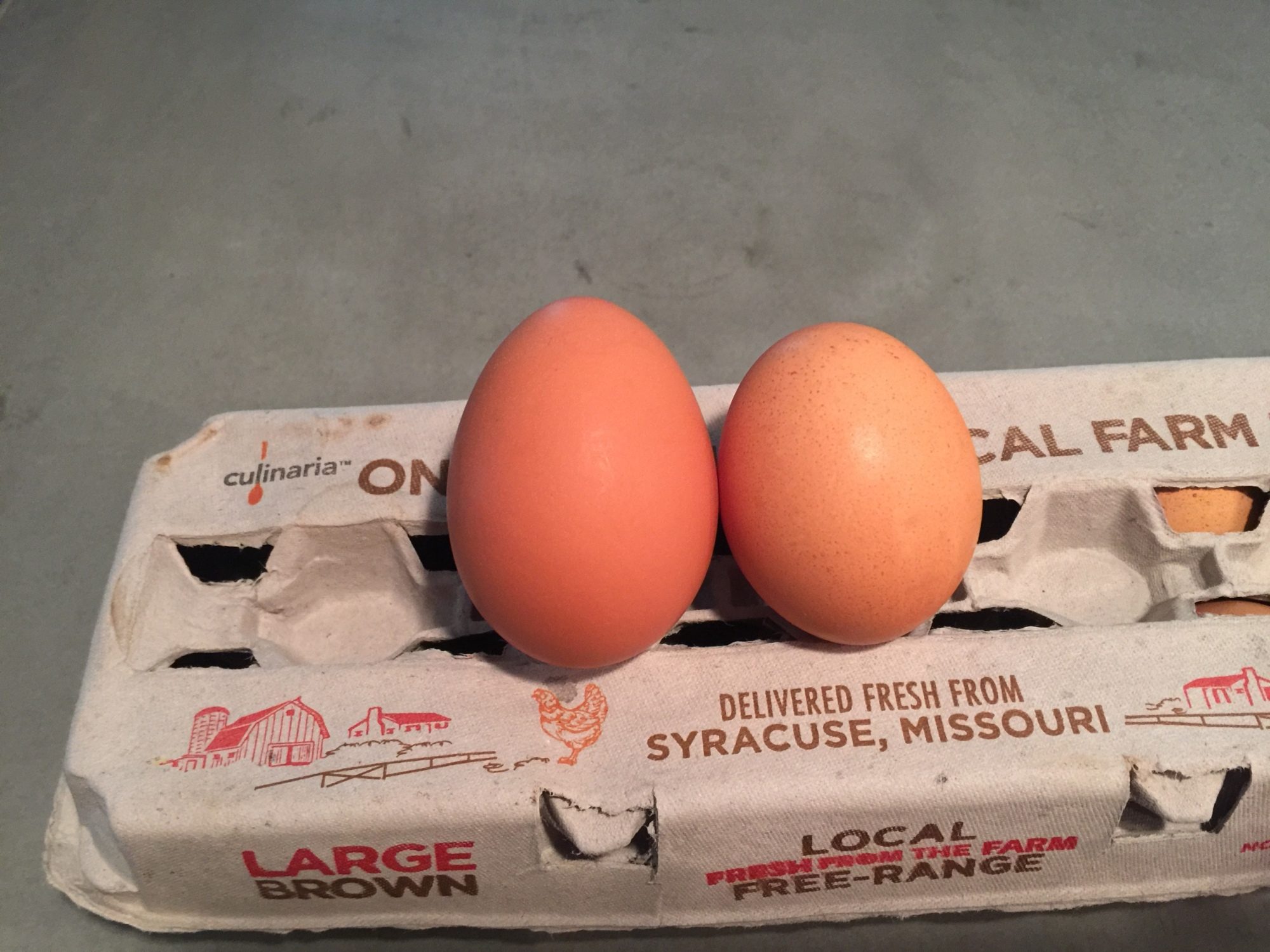 A monster!  On left is our egg, right is store bought large egg