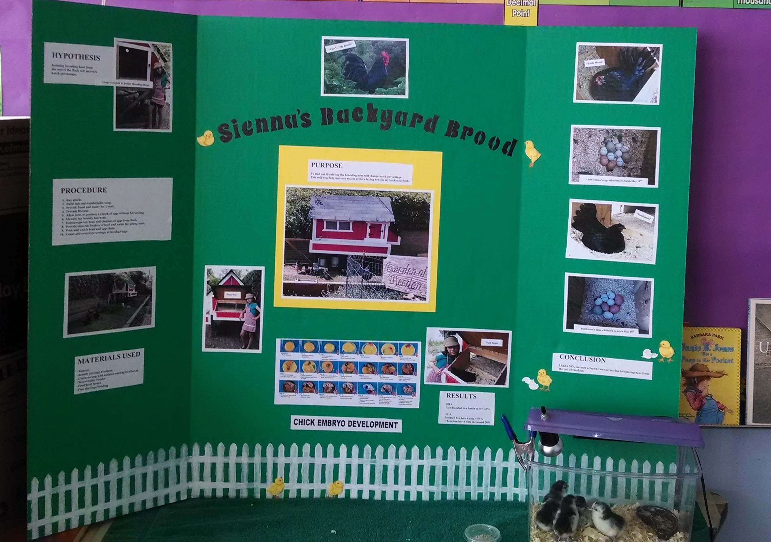 A+++++ on the science Project.... :)