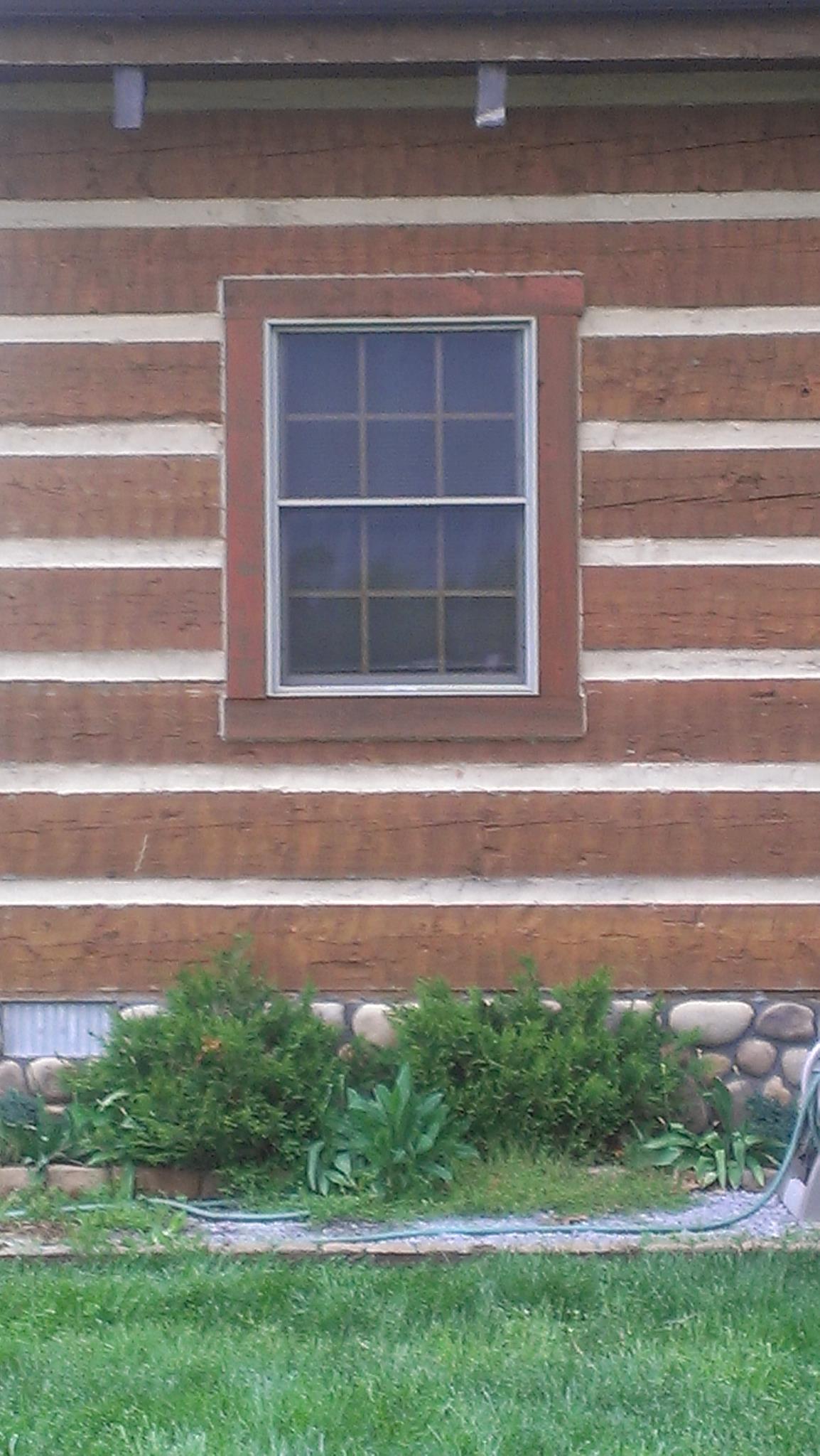 A pic of my cabin-what I want the outside of my coop to look like.