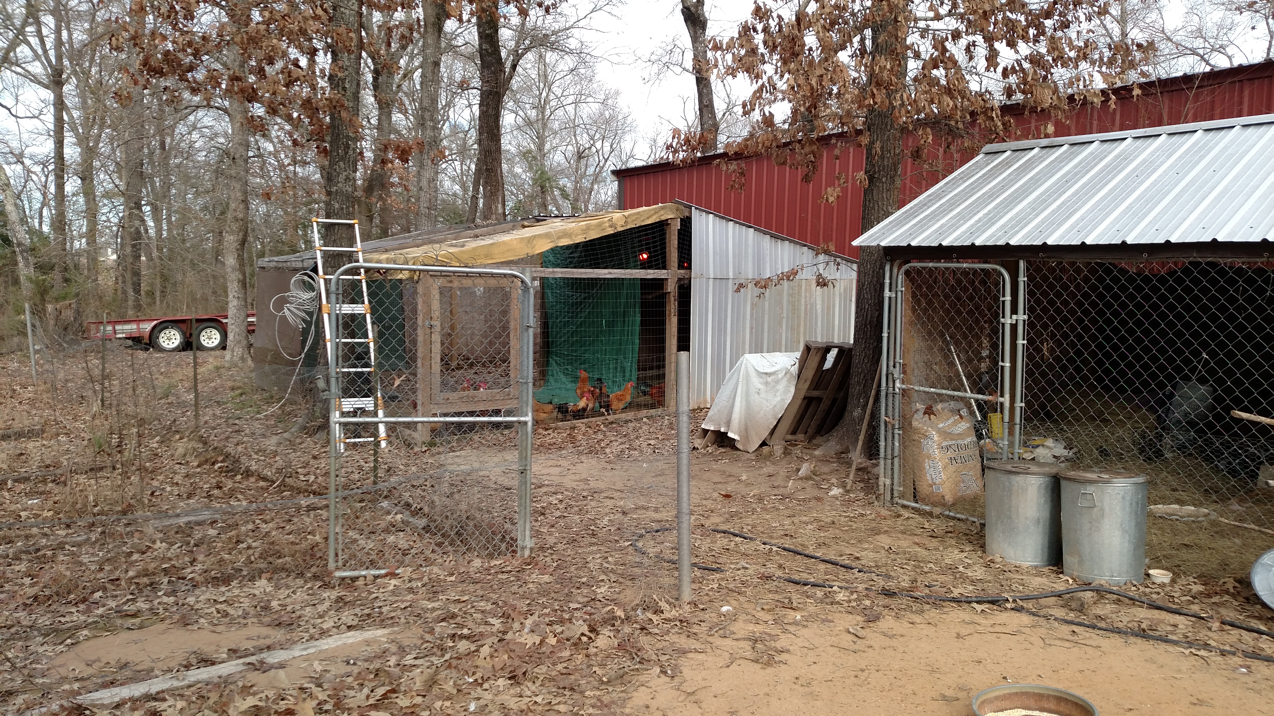 A quick look at the housing situation.  Large house has roost and nesting areas for grown birds.
