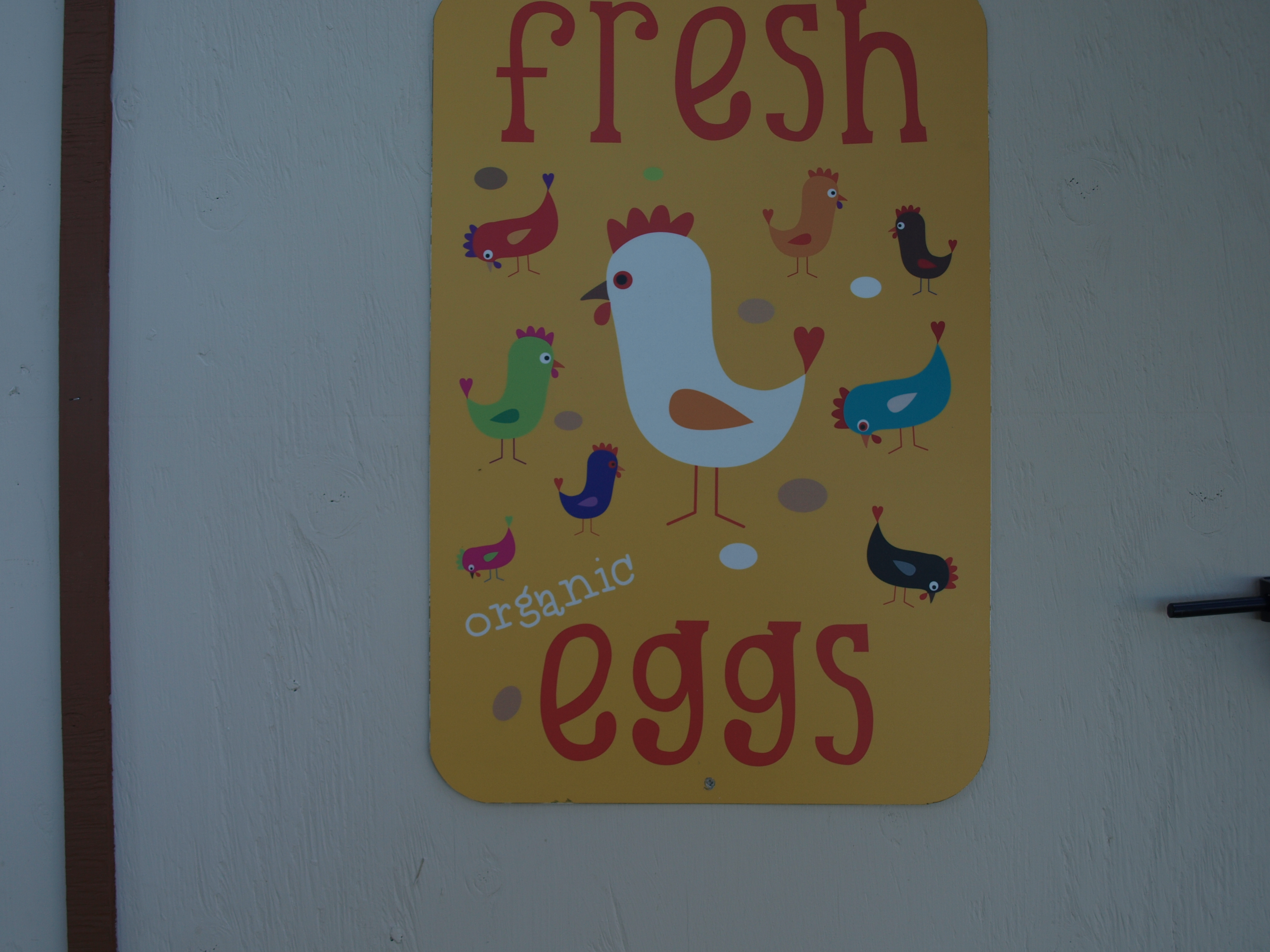 A sign from My Pet Chicken