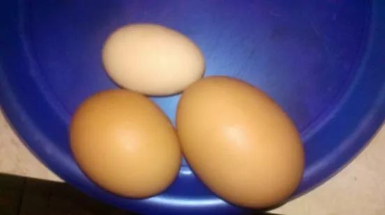 a variety of my the first eggs we got in our foray into chickens.