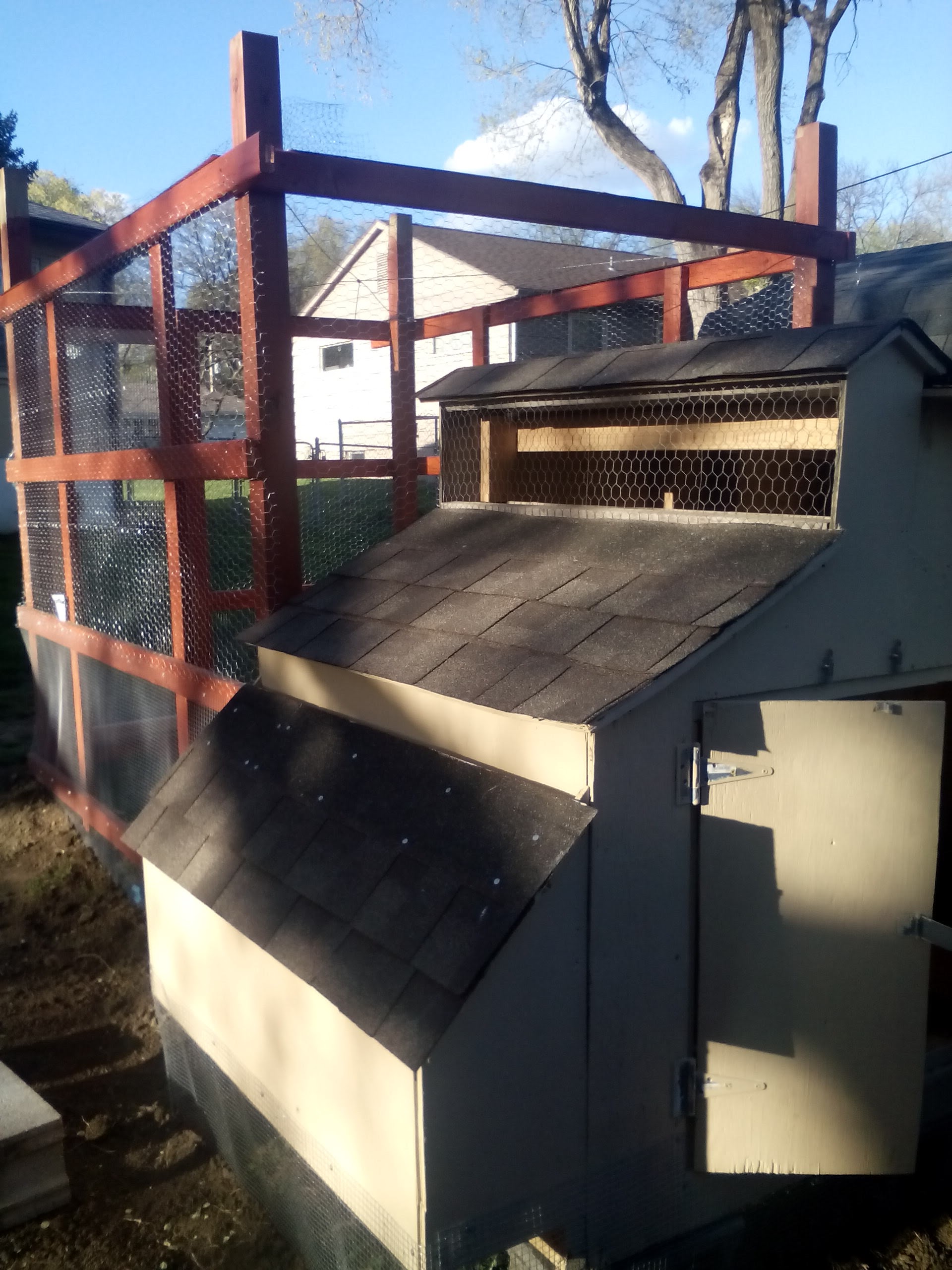 A view of our coop. The people doors are there on the back. The nesting box on the left. It isn't finished on the inside yet but we have time. Still have some improvements to make. Need to get ventilation for summer and winter done, but the roosting bars are up and the girls love them. Took to them the first day. Hardware cloth around the entire coop with poultry wire to the top. Bird netting (doubled over) on the top to keep out the hawks that I see circling in the neighborhood.