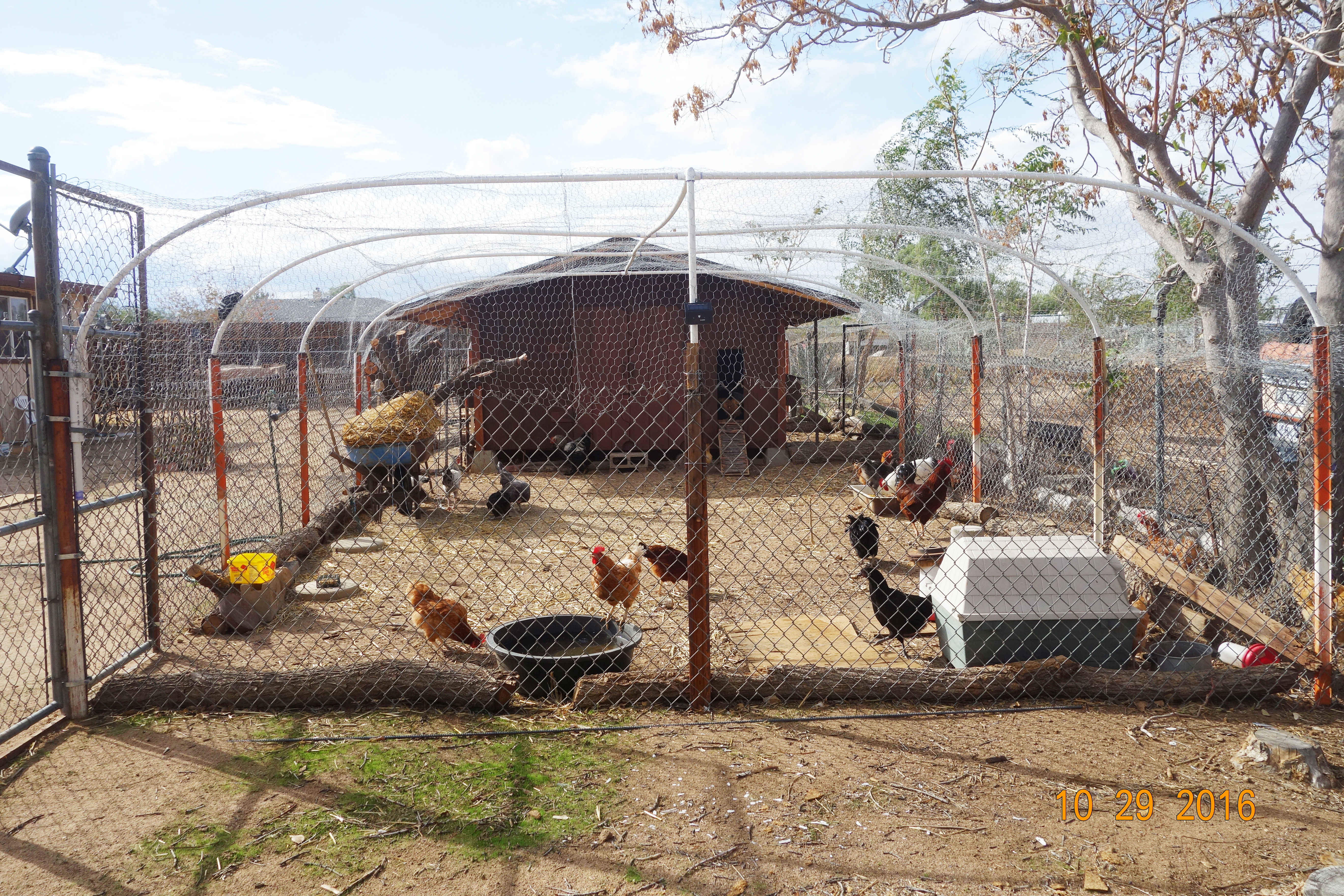 A view of the chicken coop and the run.