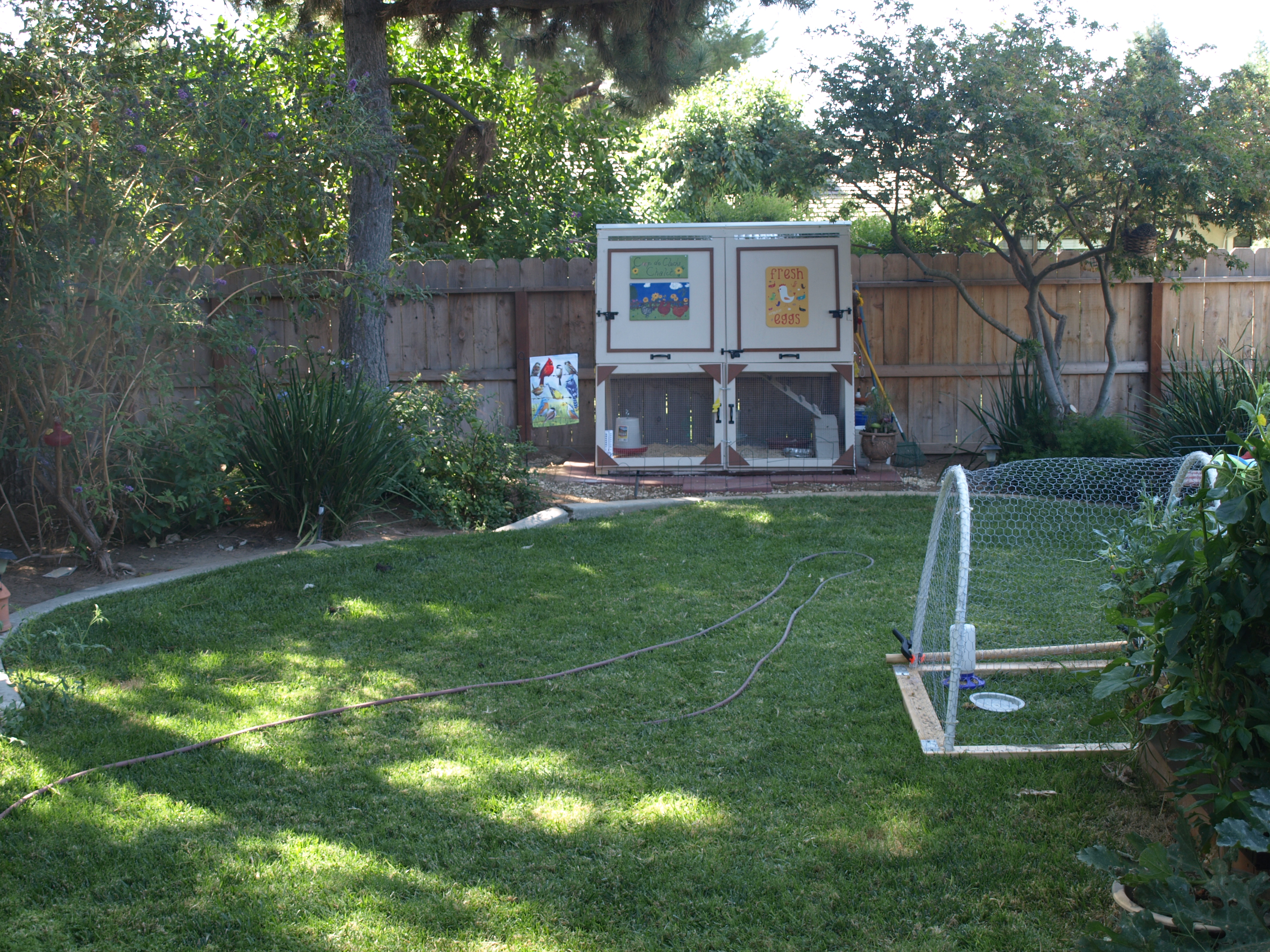 A view of the coop from the gate