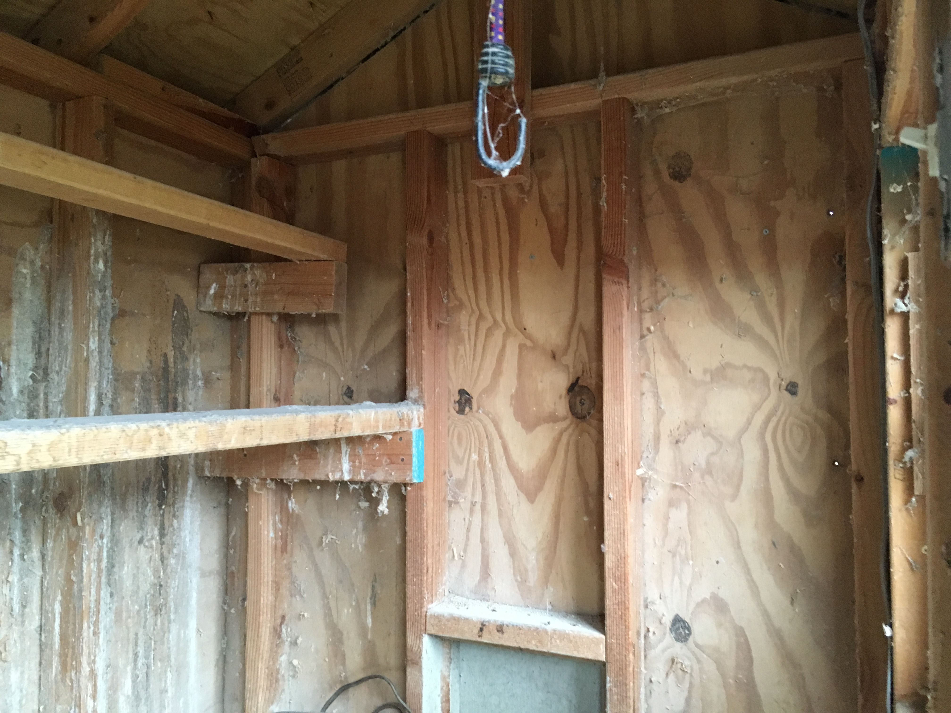 A view of the end with the pop door.  For the roosts, I'm considering adding a poop board that will extend from back wall to above the pop door. The two roosts will be located at the level of the lower roost.