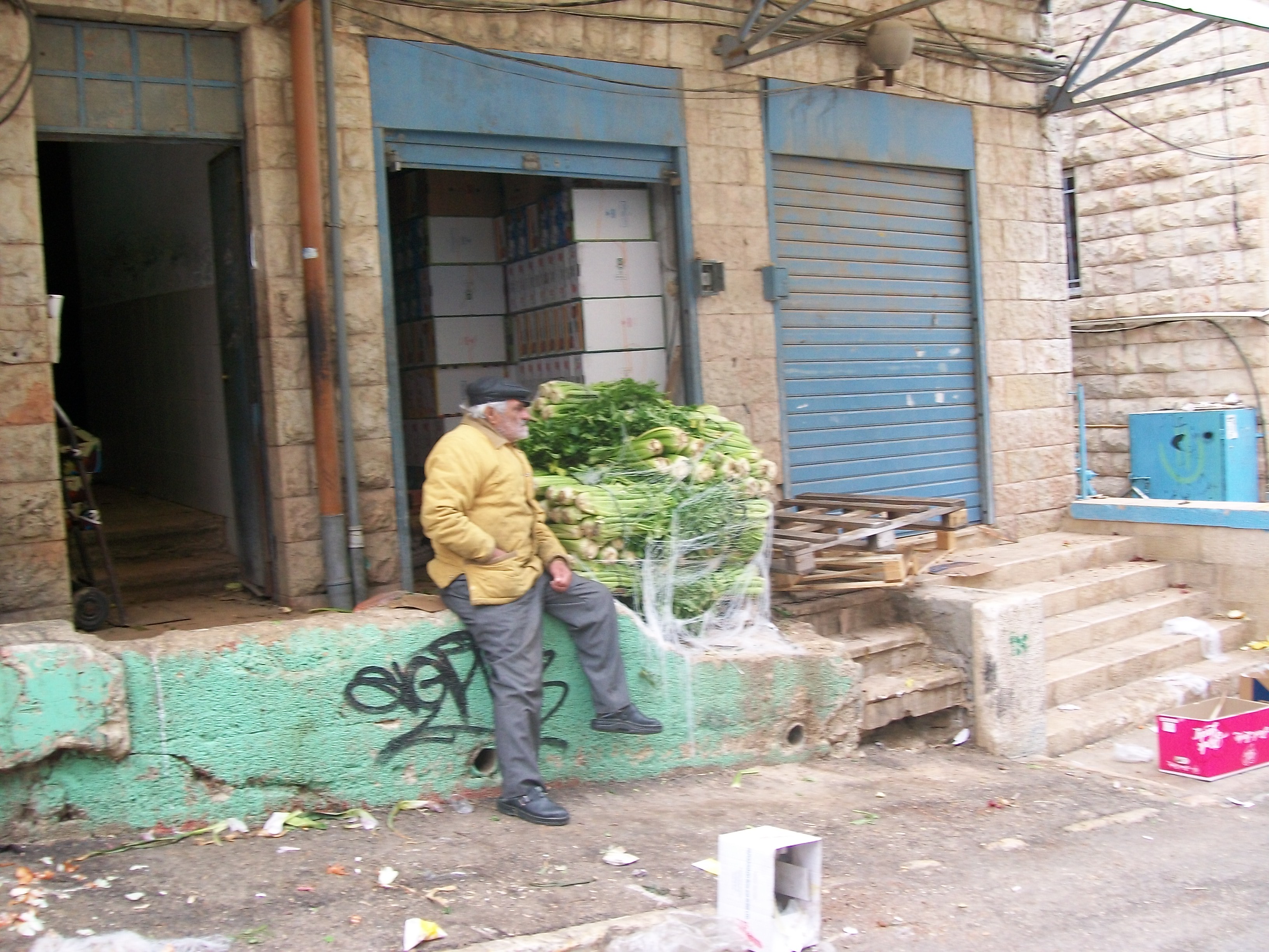 a wild type of artichoke that is used in ethnic morrocan dishes, brought early in the morning just when the market opens; my friend and i caught them offloading the hushof, and we bought a whole lot before it even got to the market itself.