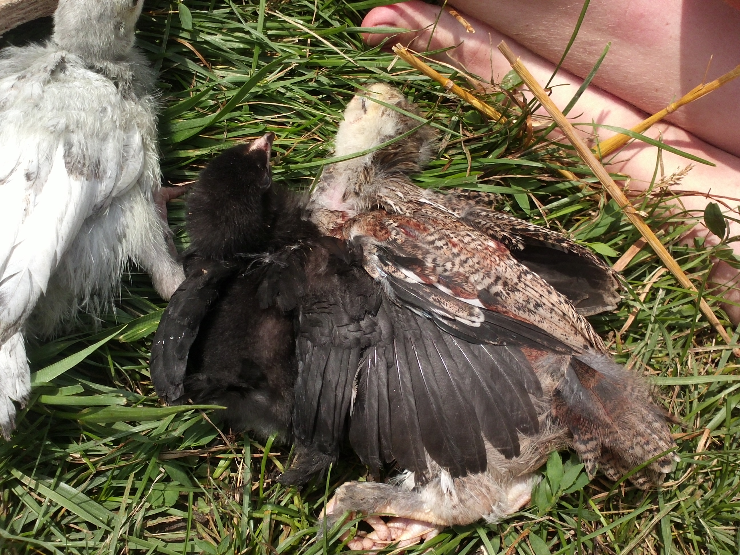 Aaawwww that sunshine