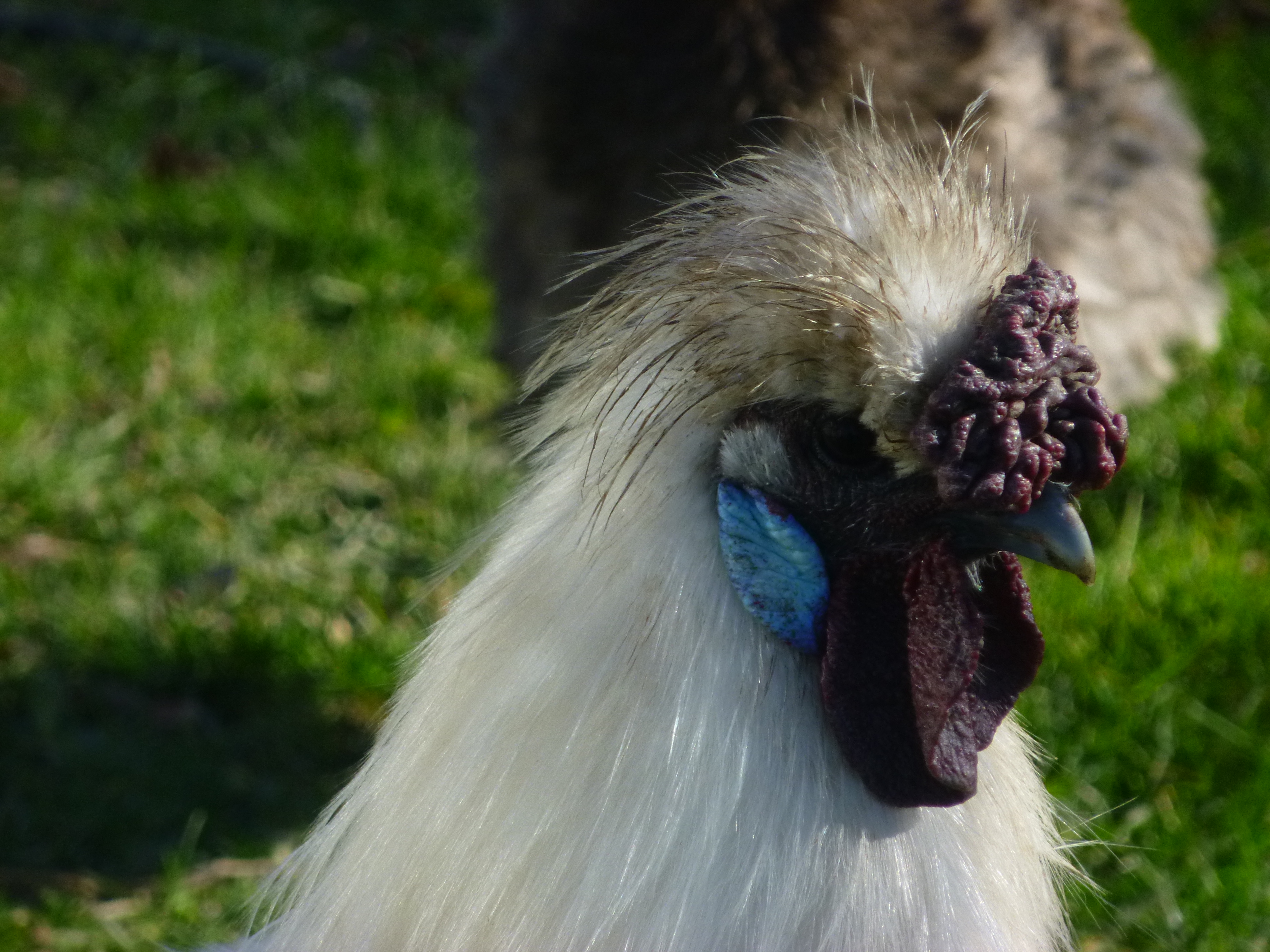 Abraham Featherston upclose
