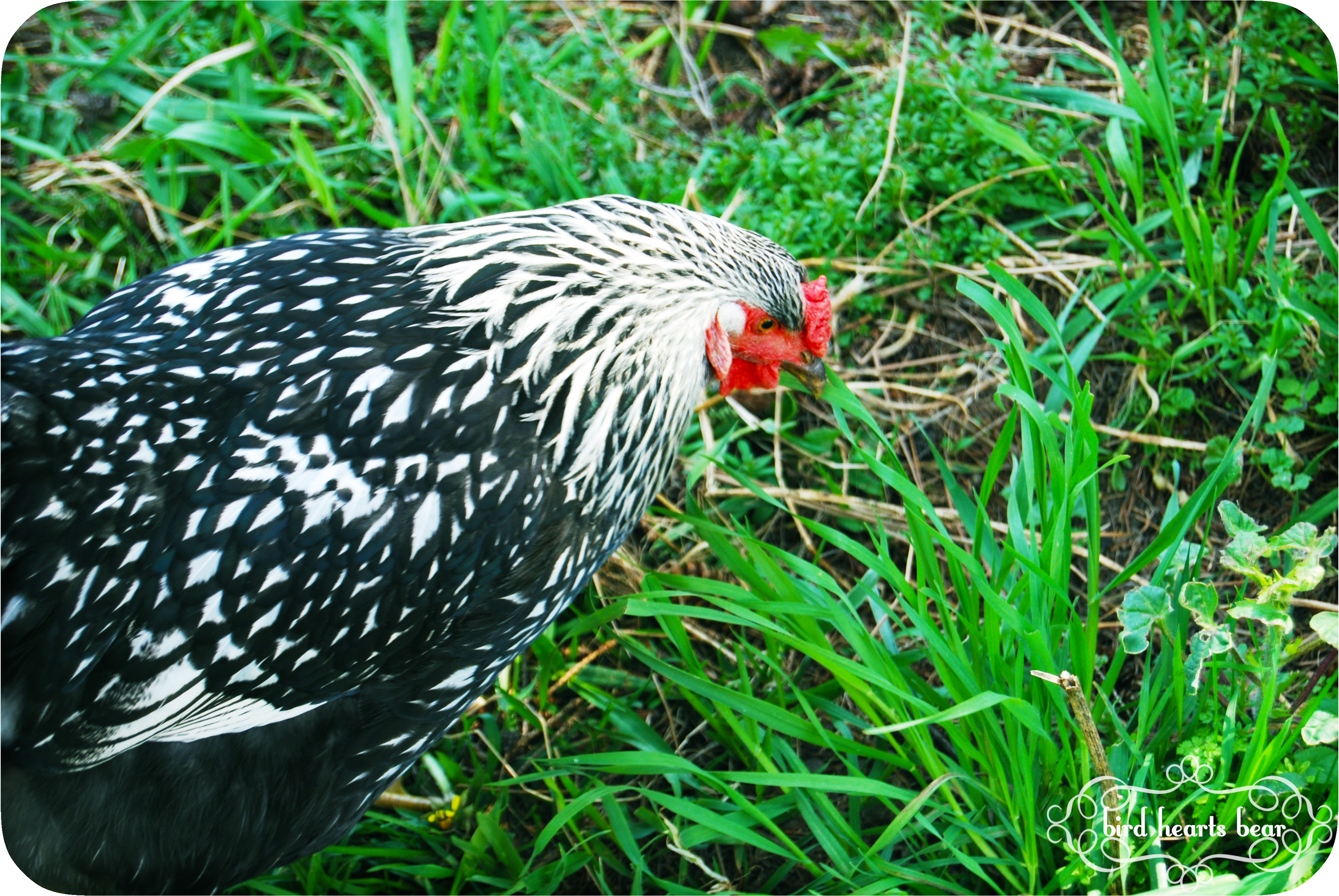 Ada finally held still long enough.