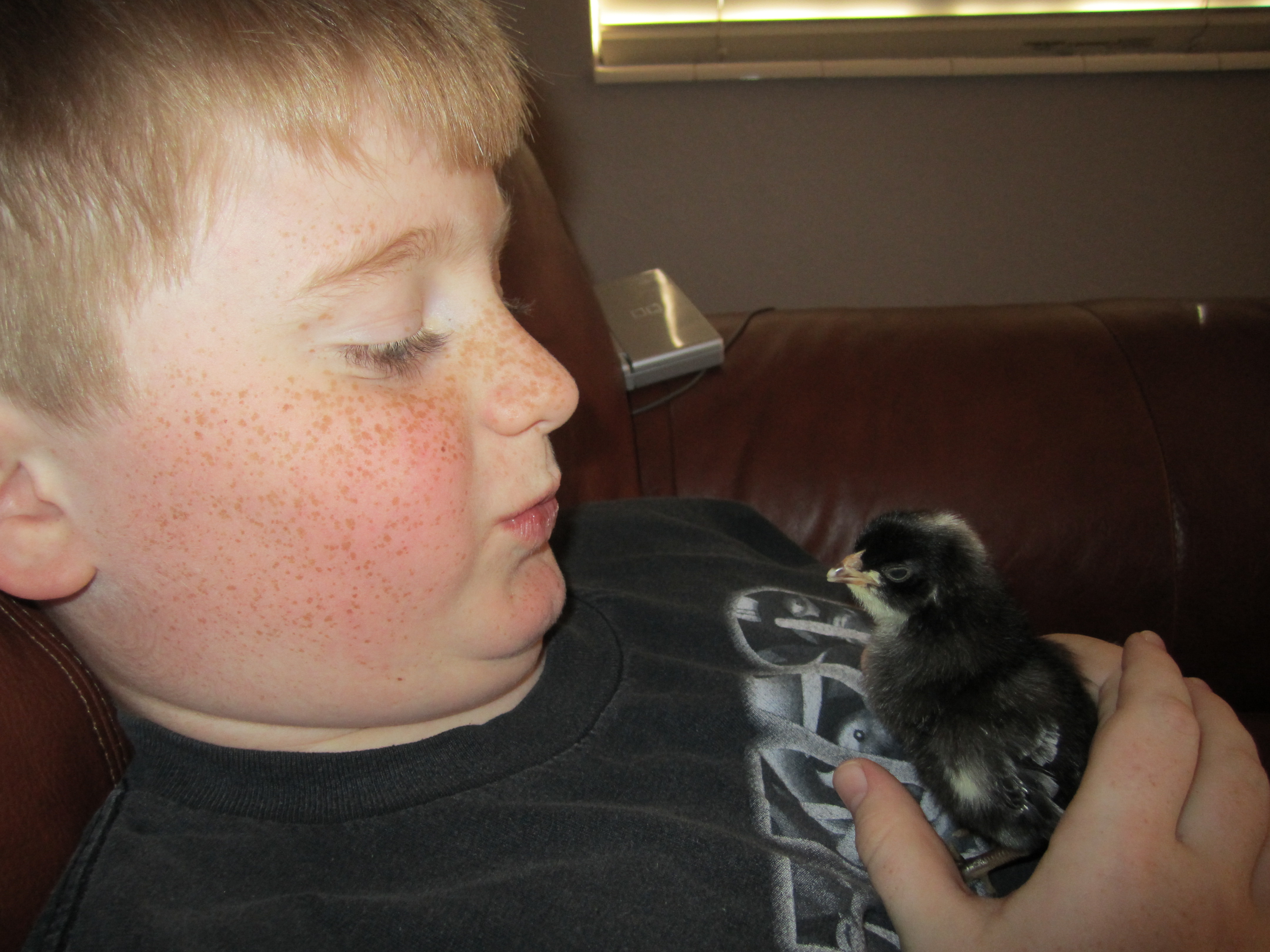 Adam and Maranto (chicken's name)