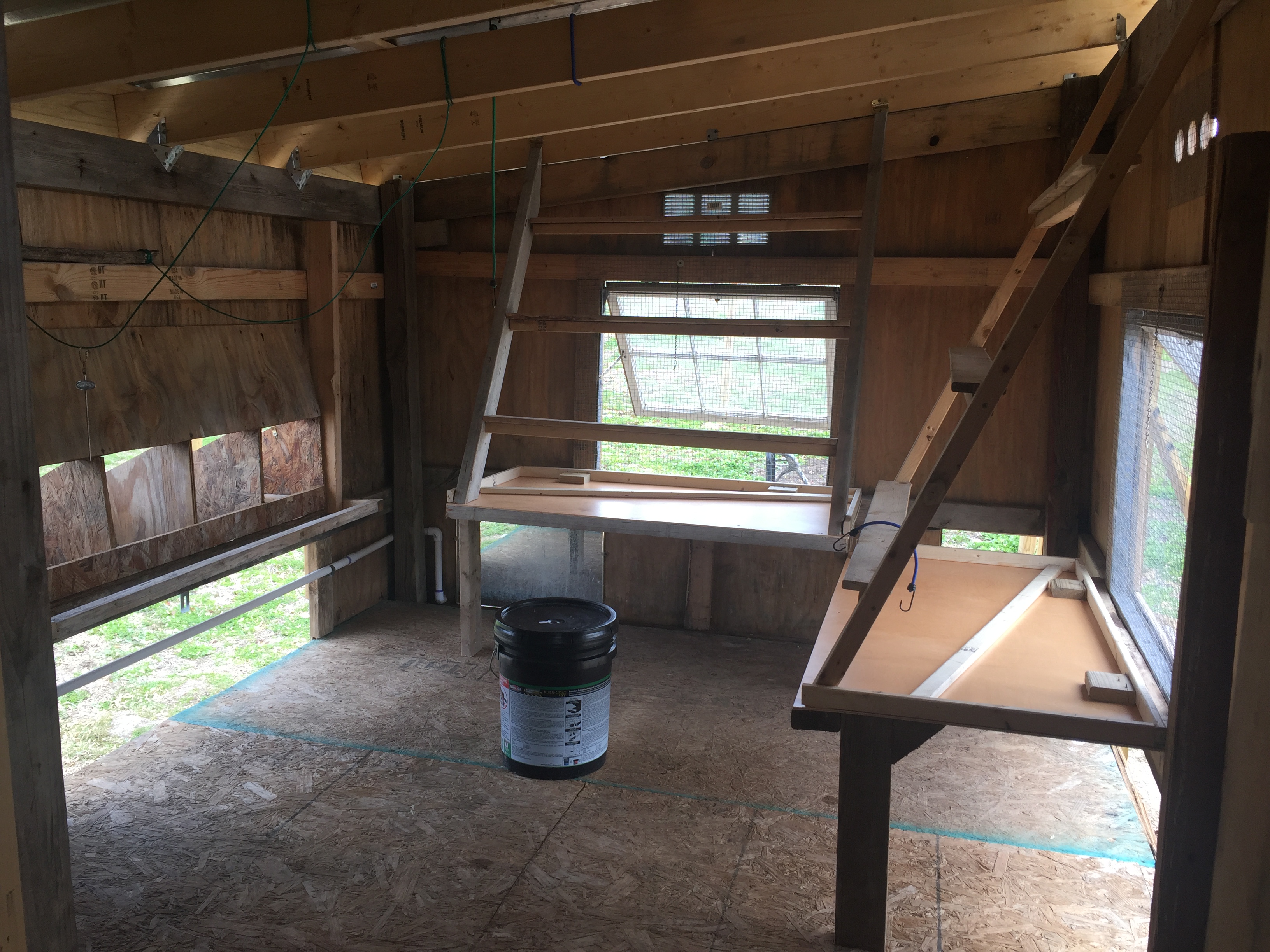 Added a clean out underneath the nesting boxes. Cleaned interior out again. Waiting for weather to get over 50 degrees so I can apply the 5 gal of Black Jack to the floor and 1 foot up on the walls. After that mess in December with the roof blowing off I need to protect the floor as mush as I can. It literally rained and snowed inside, soaking the bedding, everything for over a month. If I wasn't the man I am I would've cried.