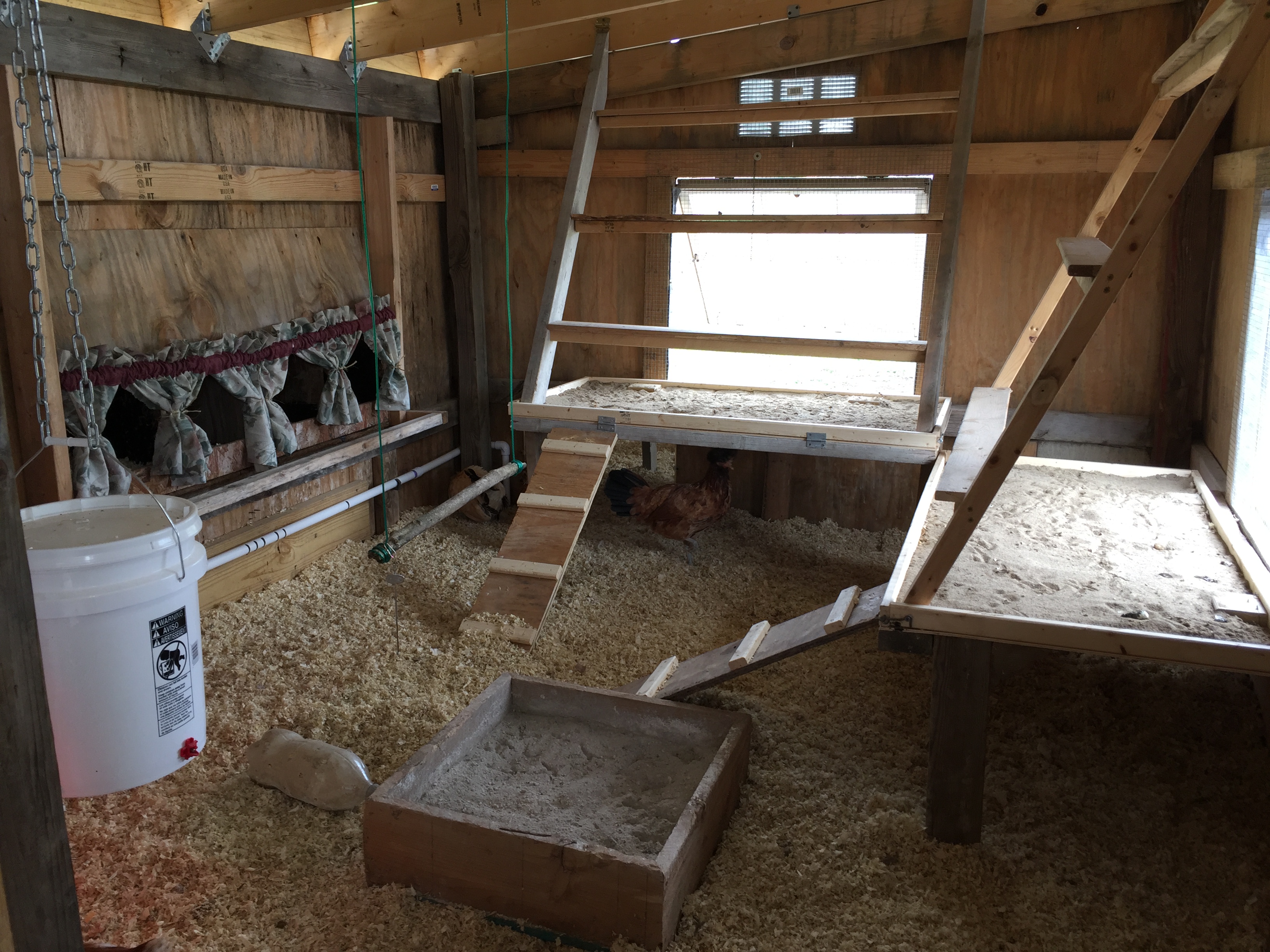 Added sand to the poop boards. Two packs of bedding for the coop. Made a wooden box a while back for dust bathing.
