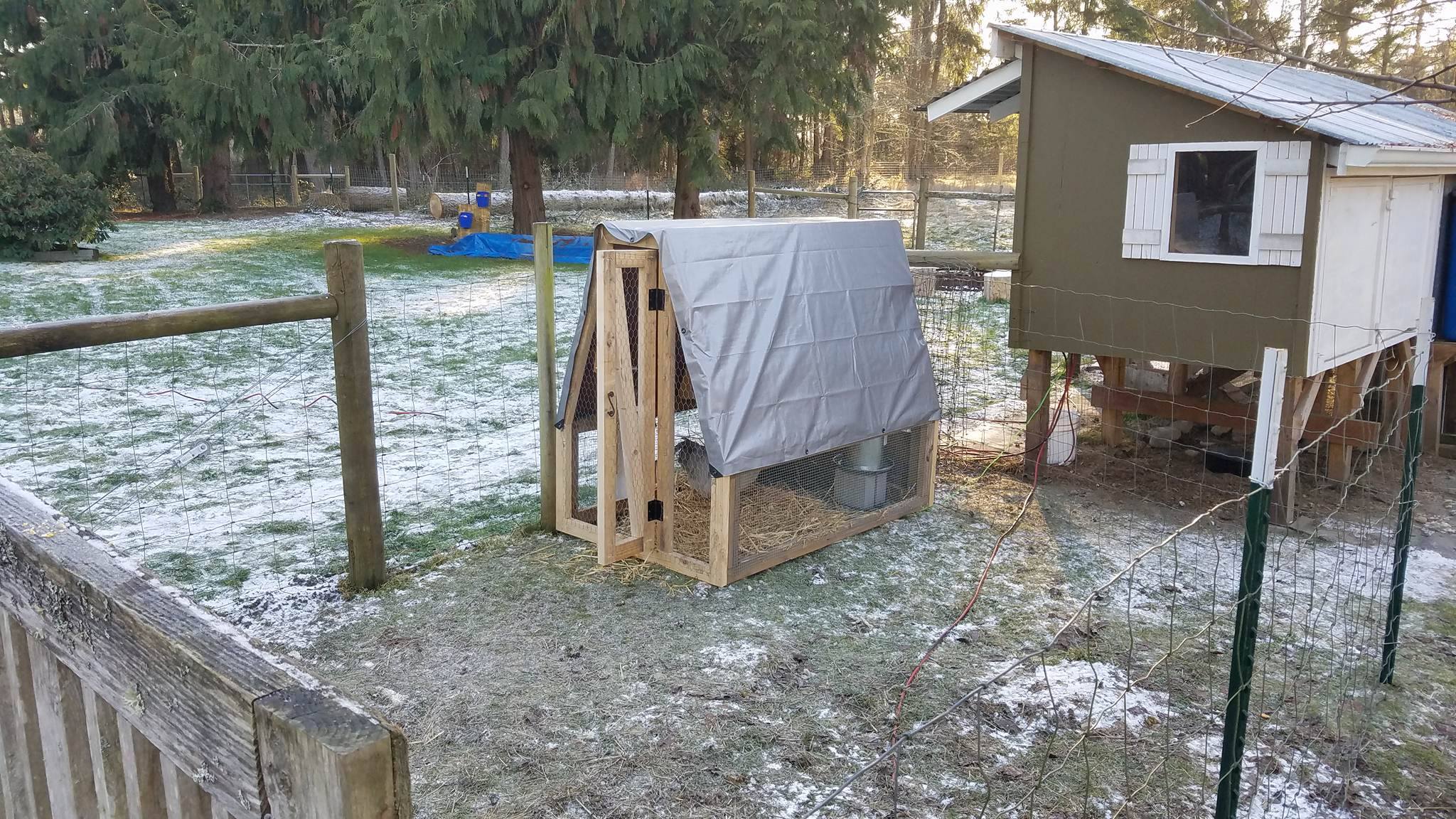 Added some shutters and paint to the coop. Also pictured is our chicken tractor. We use this to breed specific hens to our new Lavender Orpington roo. We also use it for cornish cross meaties.