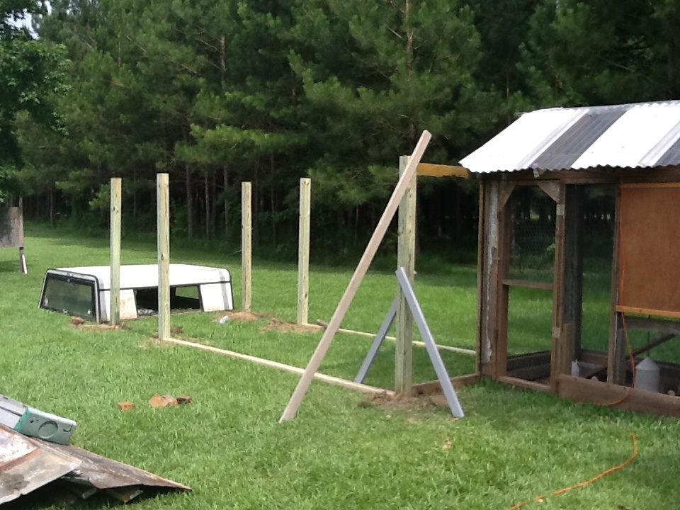 Adding run and coop on other end using camper shell we got free