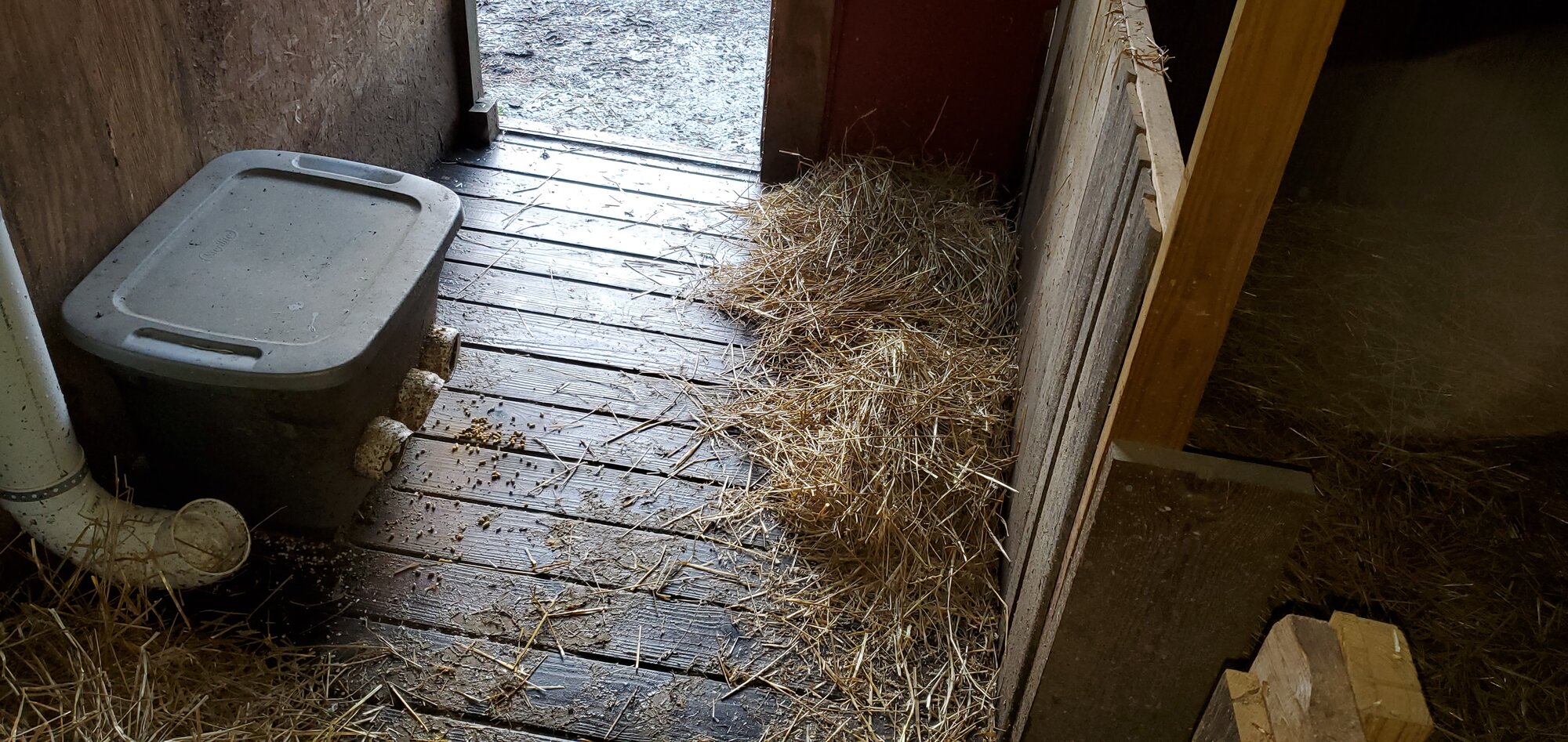 Addtional floorspace (camping area) for the grown up ducks