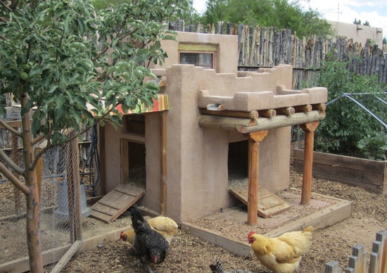 Adobe chicken coop