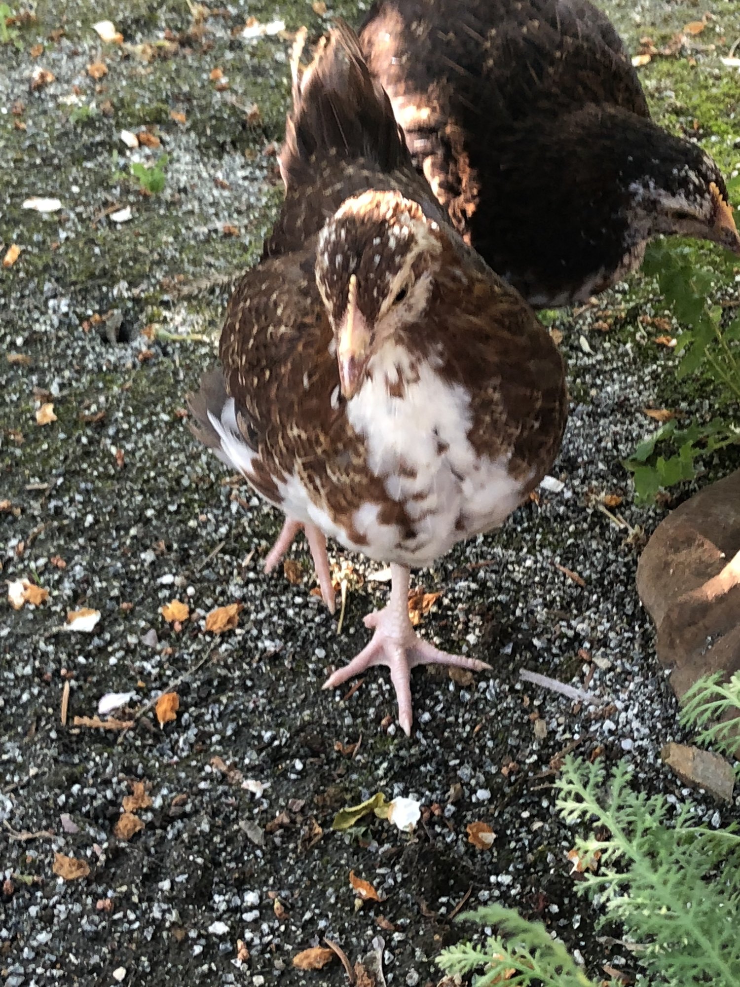 AF6D6B9C-697A-4954-B841-E1B7B73811A2