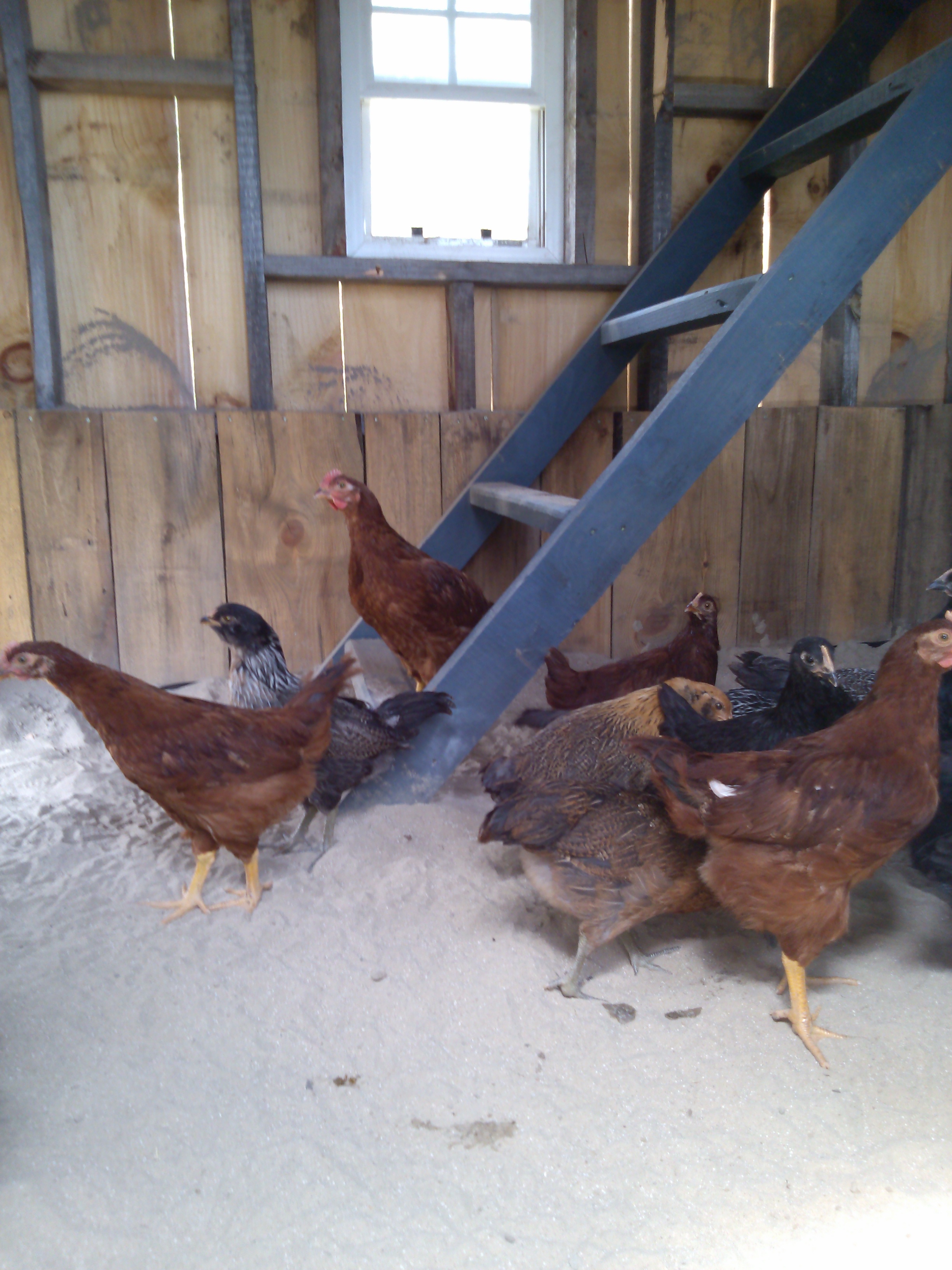 After a few minutes of talking to them, they started to mill about.