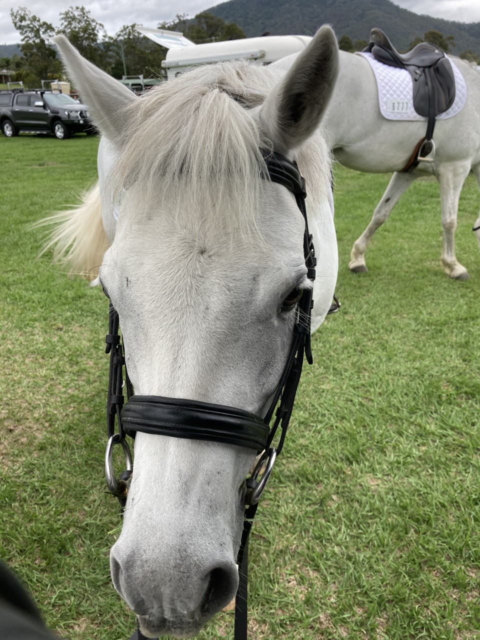 After competition (2)