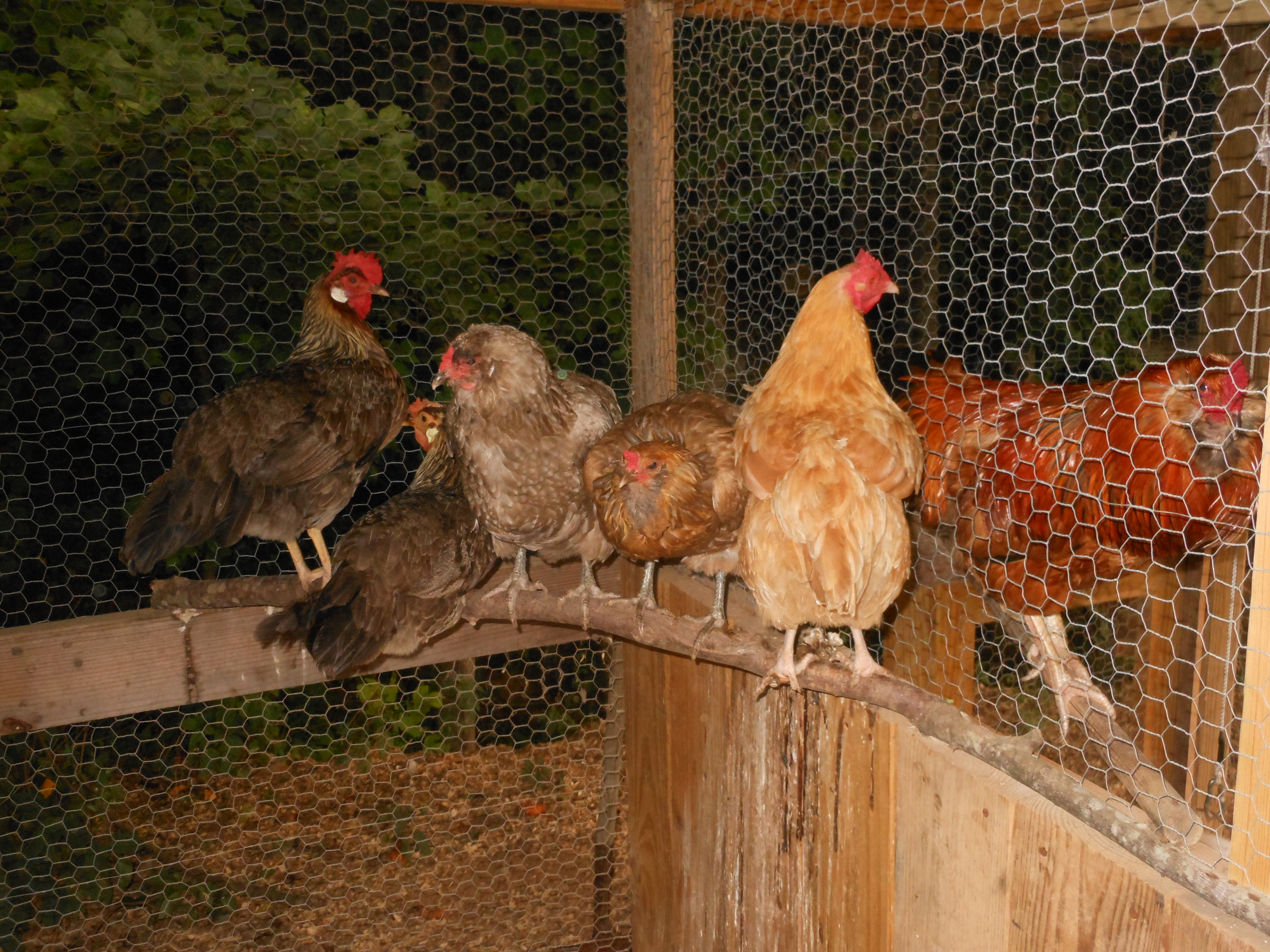 After hours at the Coop Condos