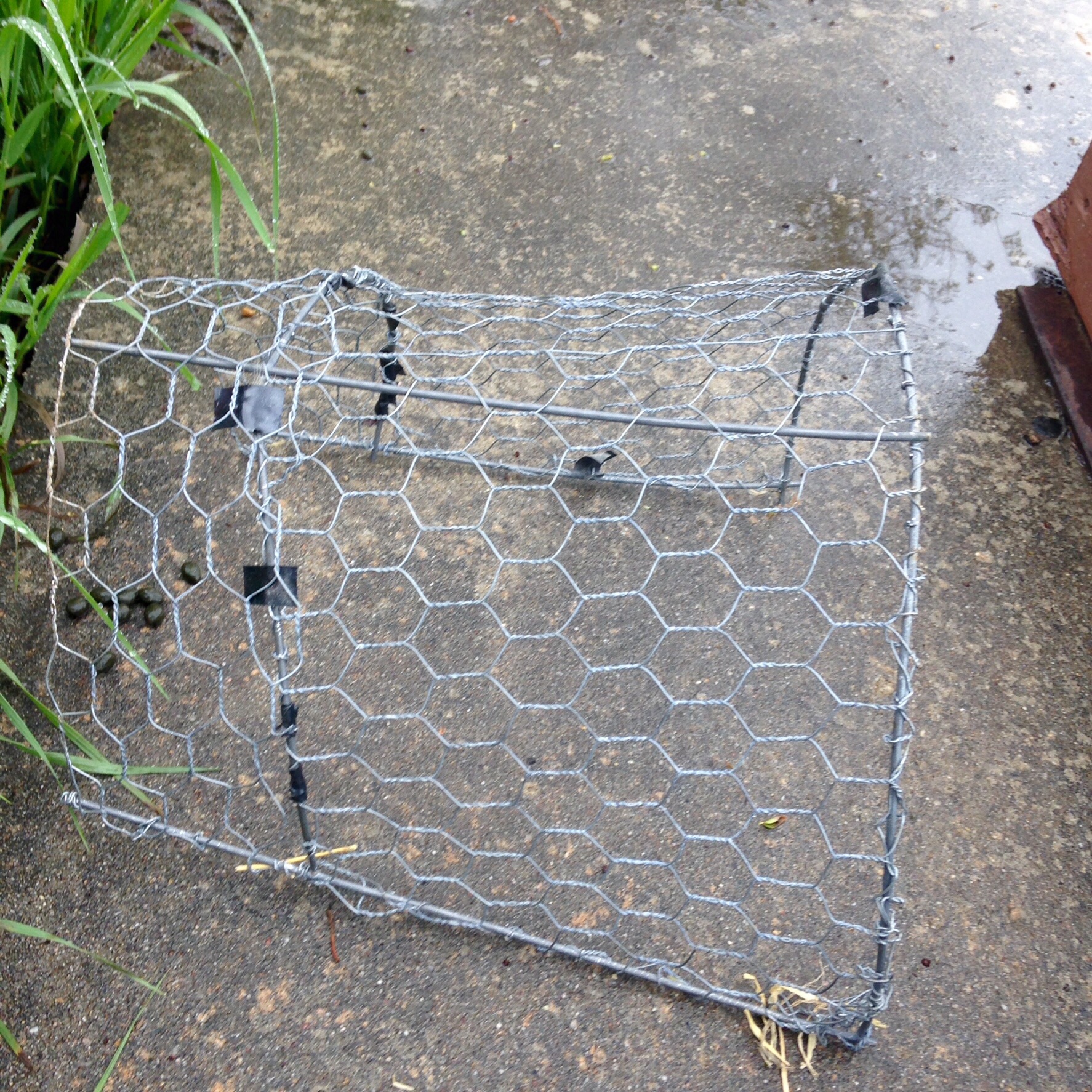 After initial run I added more chicken wire to help support the chicks running all around on the top of the brooder.