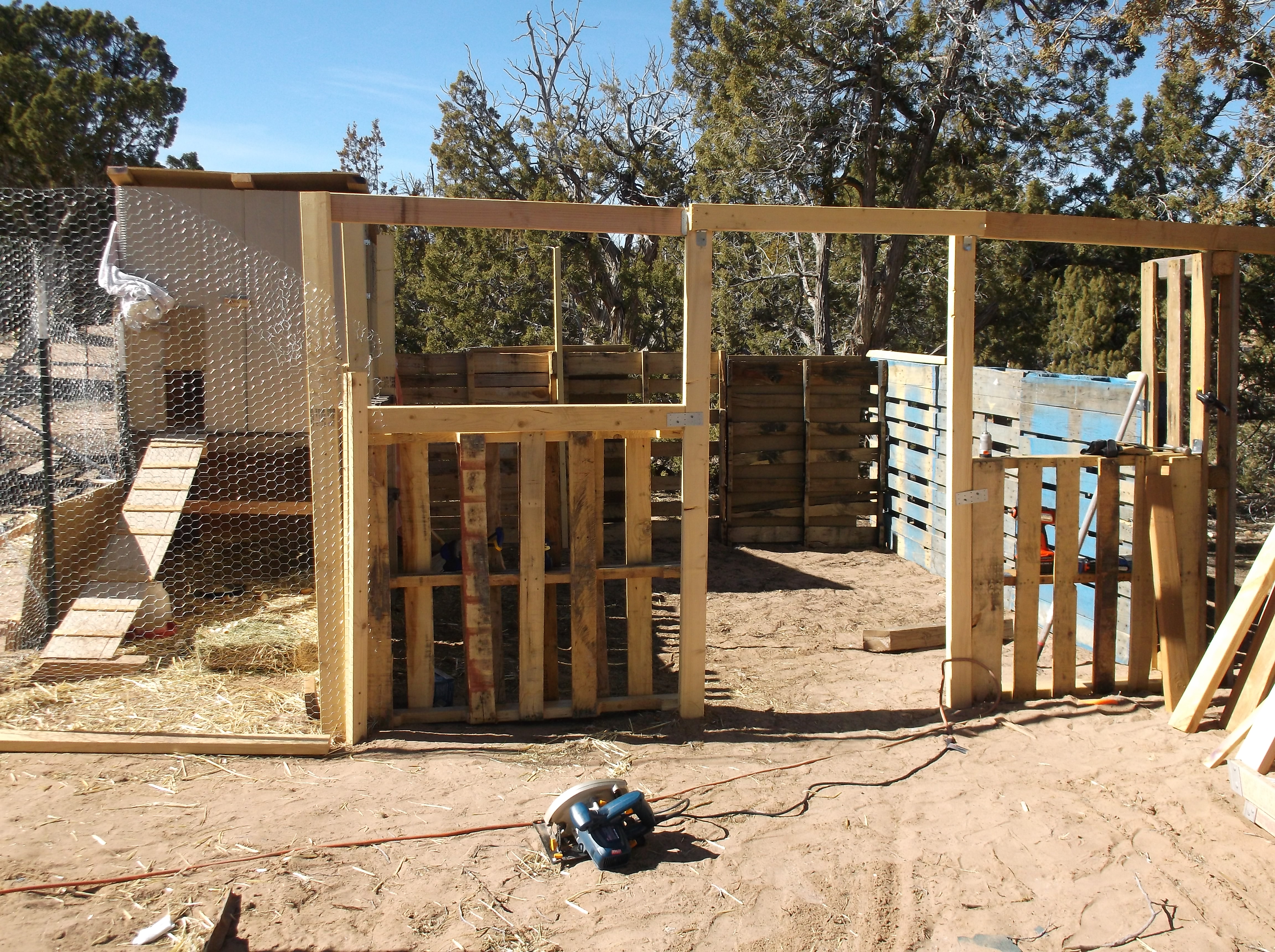 After moving the doorway to the center of the future wall I also enlarged the coop to 12'x12'.  2/10/14