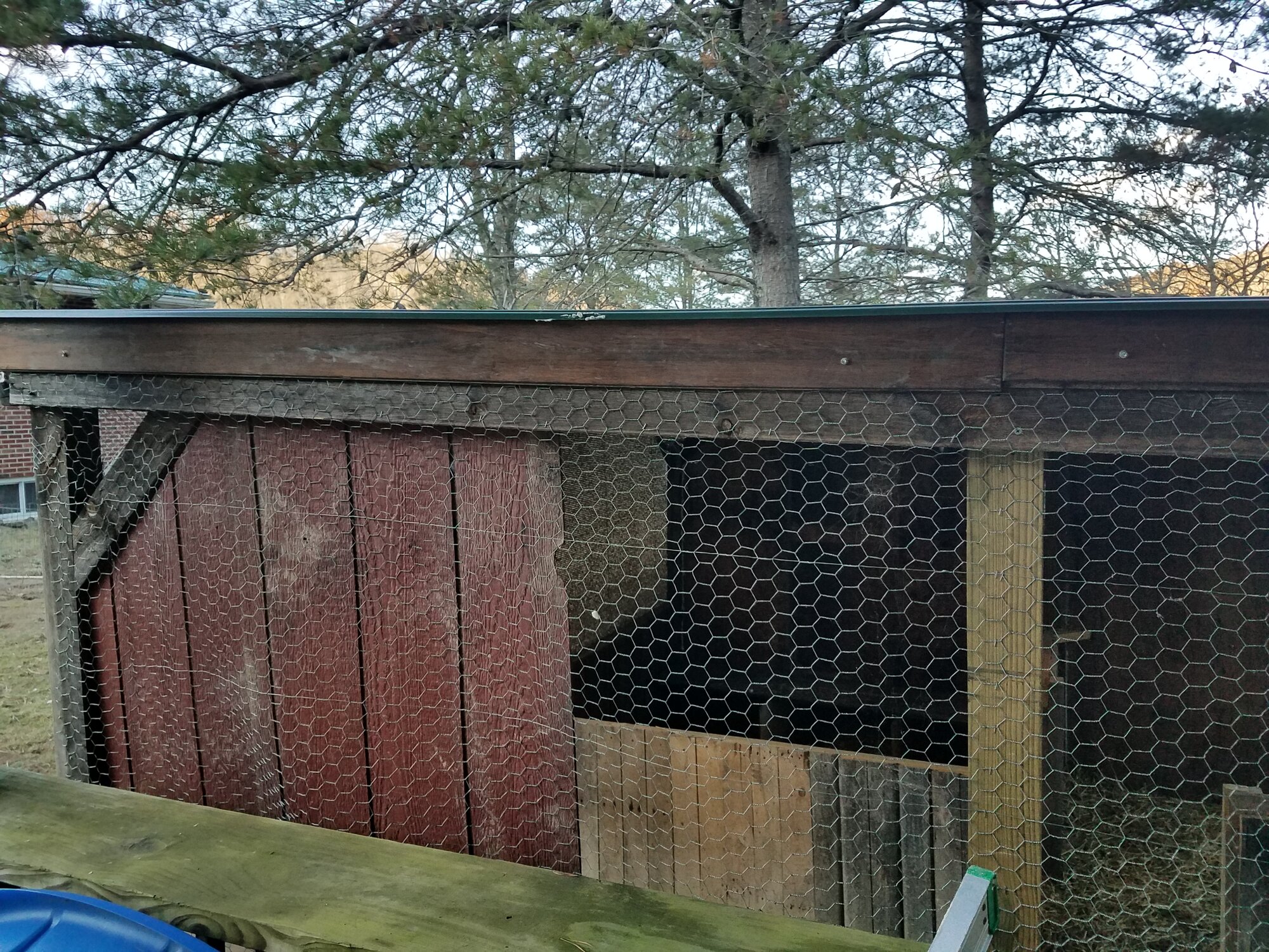 After: Openings between the roof-panels and the wooden structure