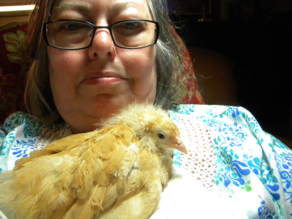 After she ate and exercised, she would rest on my chest.  Then she started improving.  She was standing longer. frequently standing with one foot on top of the other.  I started having visitations with her sisters.  She did fine so I left her there for them to inspire movement.  She tried to walk to me taking only a couple of steps, but she kept stepping on her own feet.  I practiced walking her.  The next day she took 5-7 steps several times to reach me and try to get on me.  She was much improved.