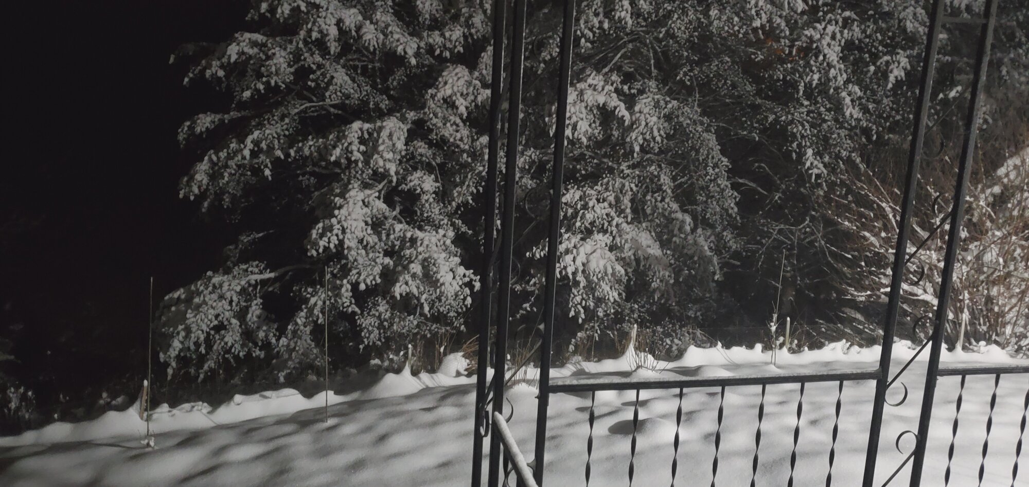 After the first snow-storm of 2022