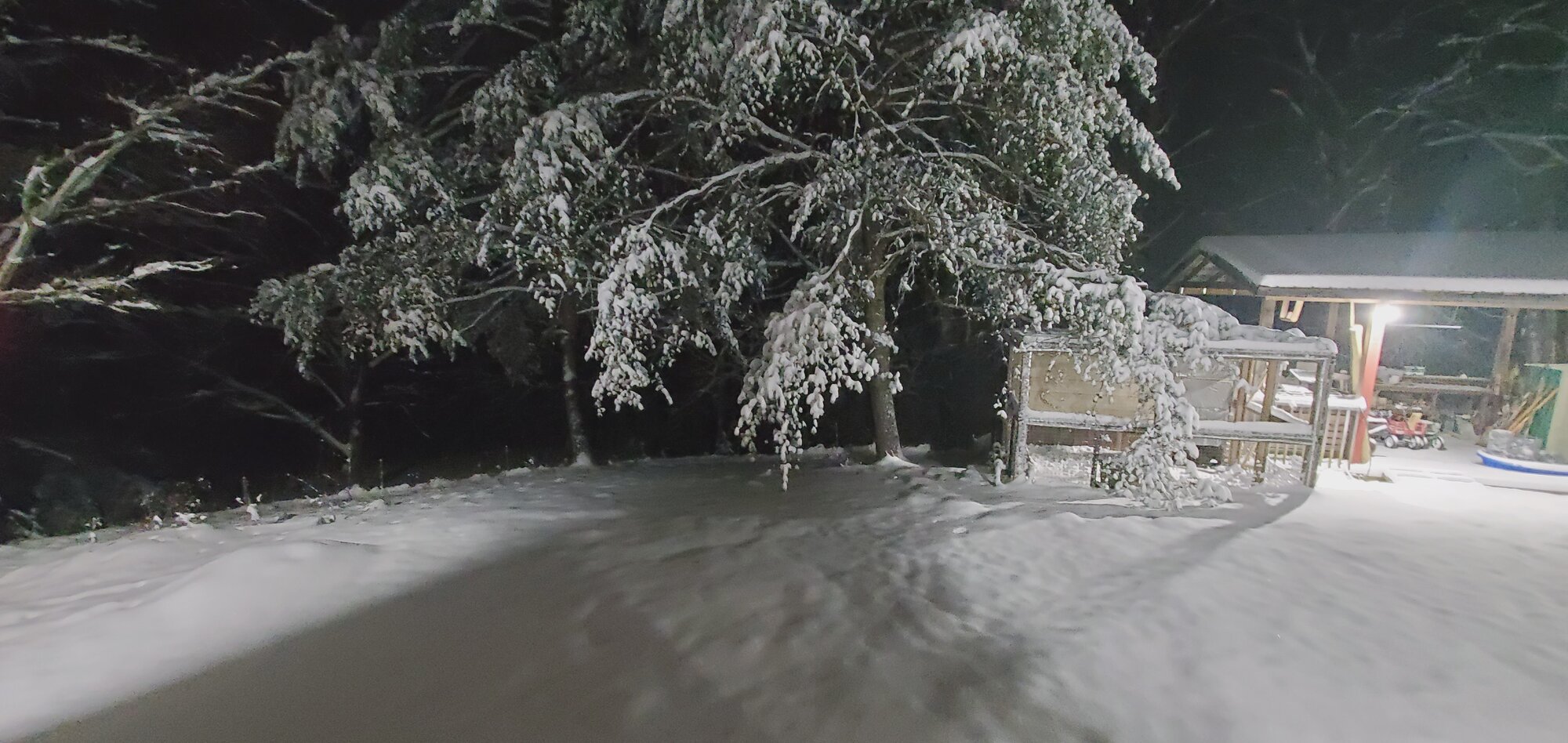After the first snow-storm of 2022