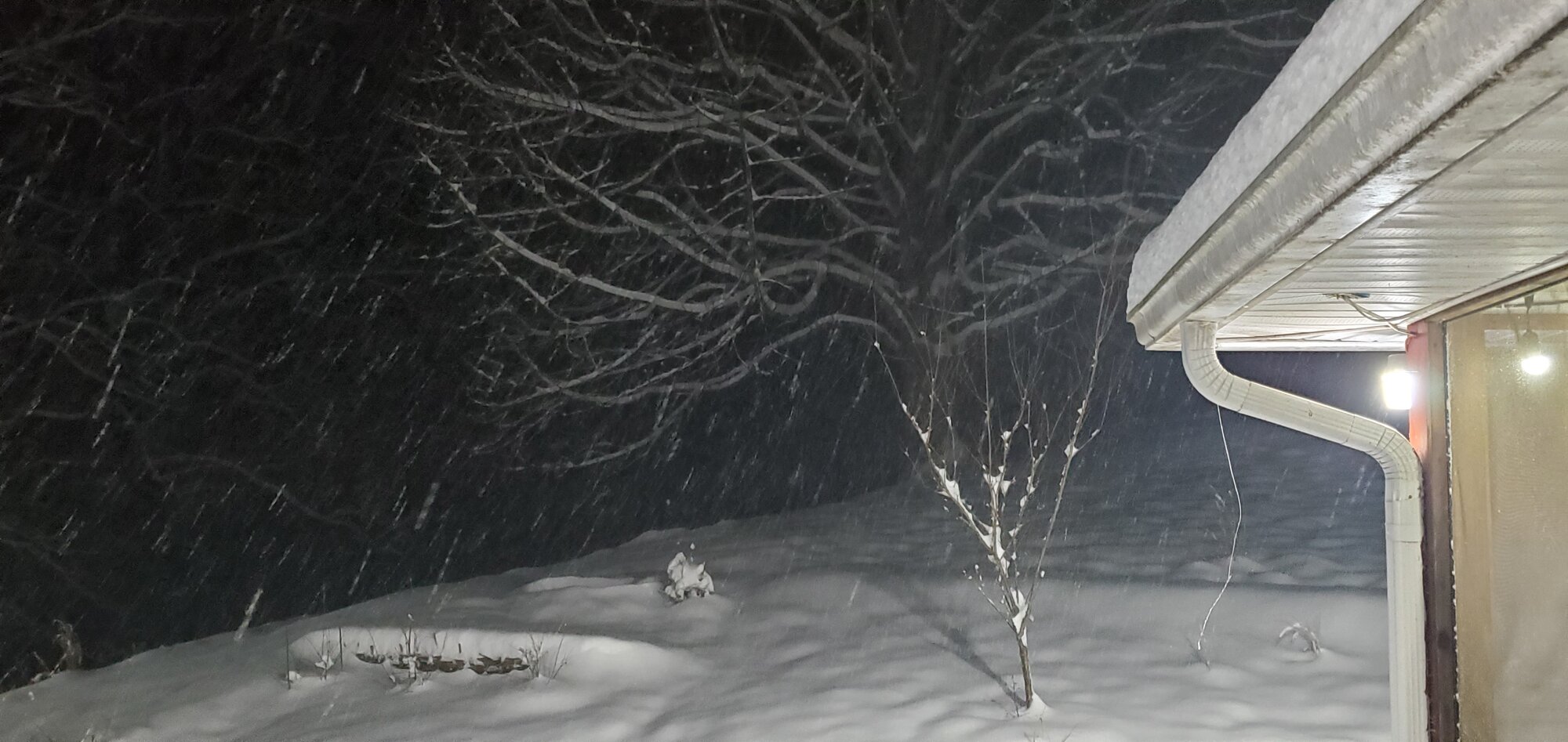 After the first snow-storm of 2022
