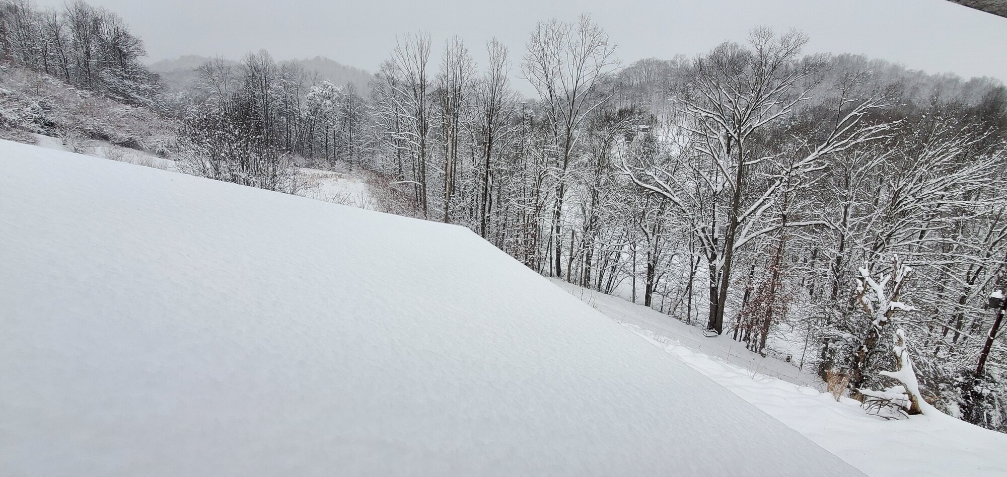 After the first snow-storm of 2022