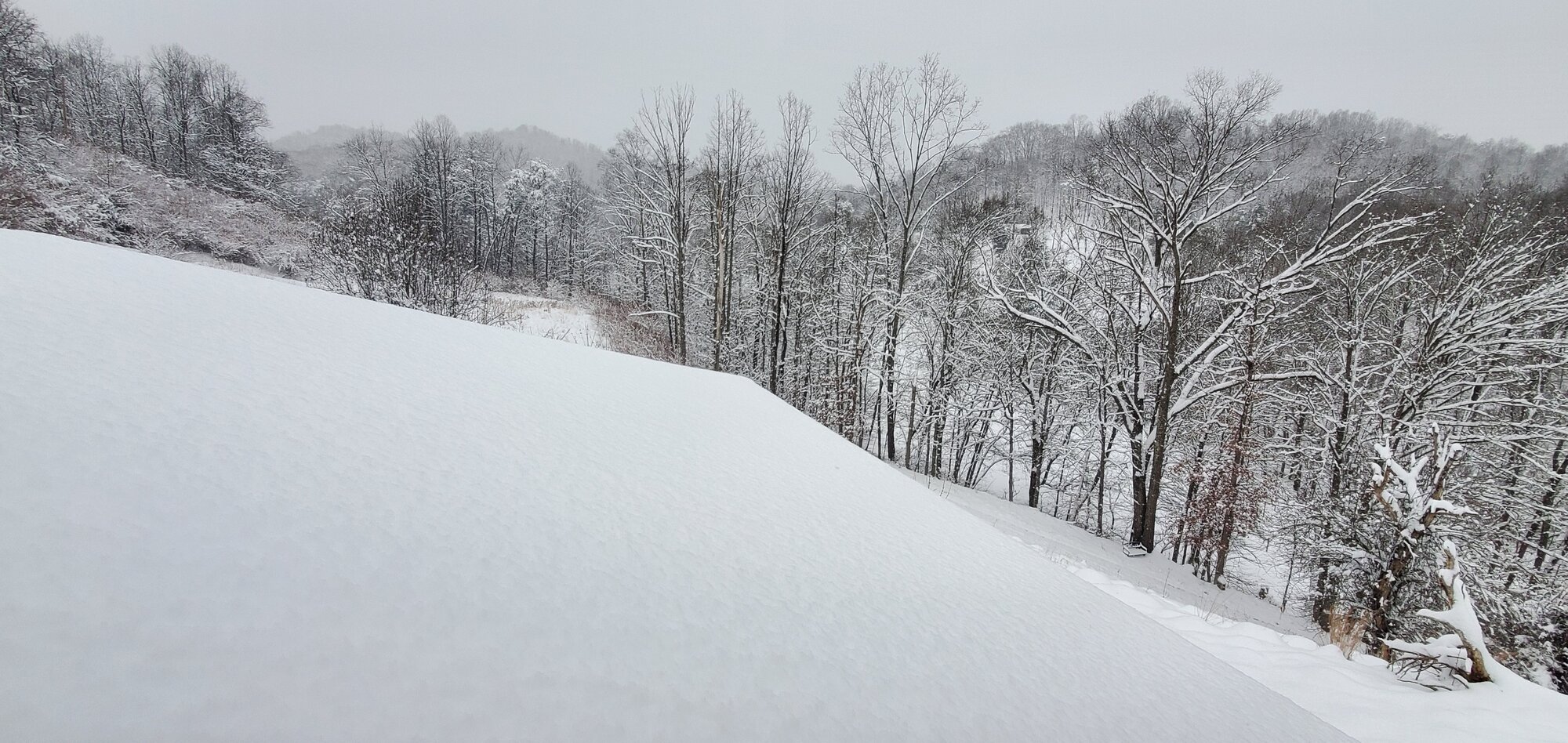 After the first snow-storm of 2022