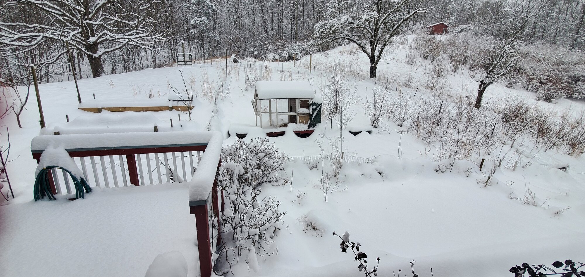 After the first snow-storm of 2022