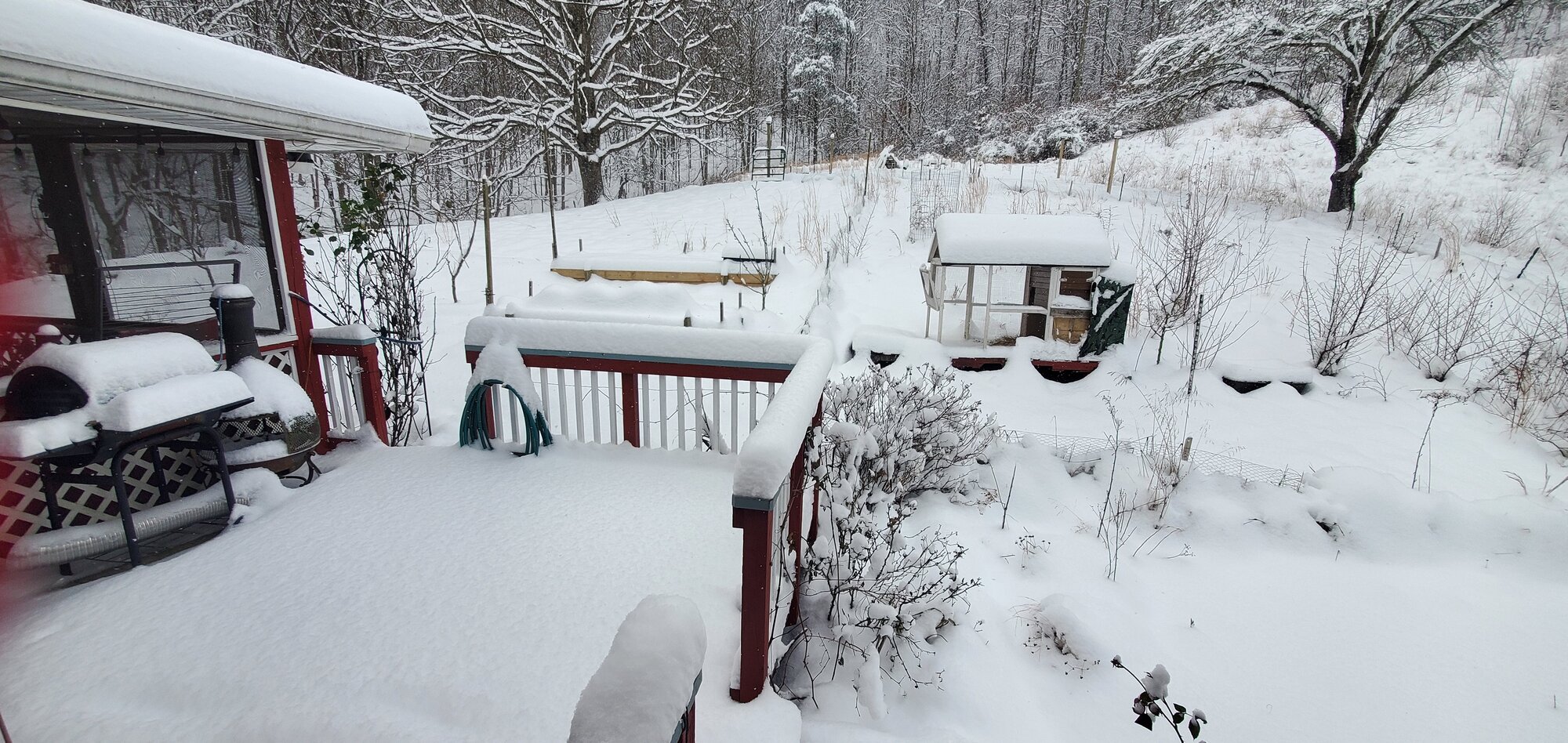 After the first snow-storm of 2022