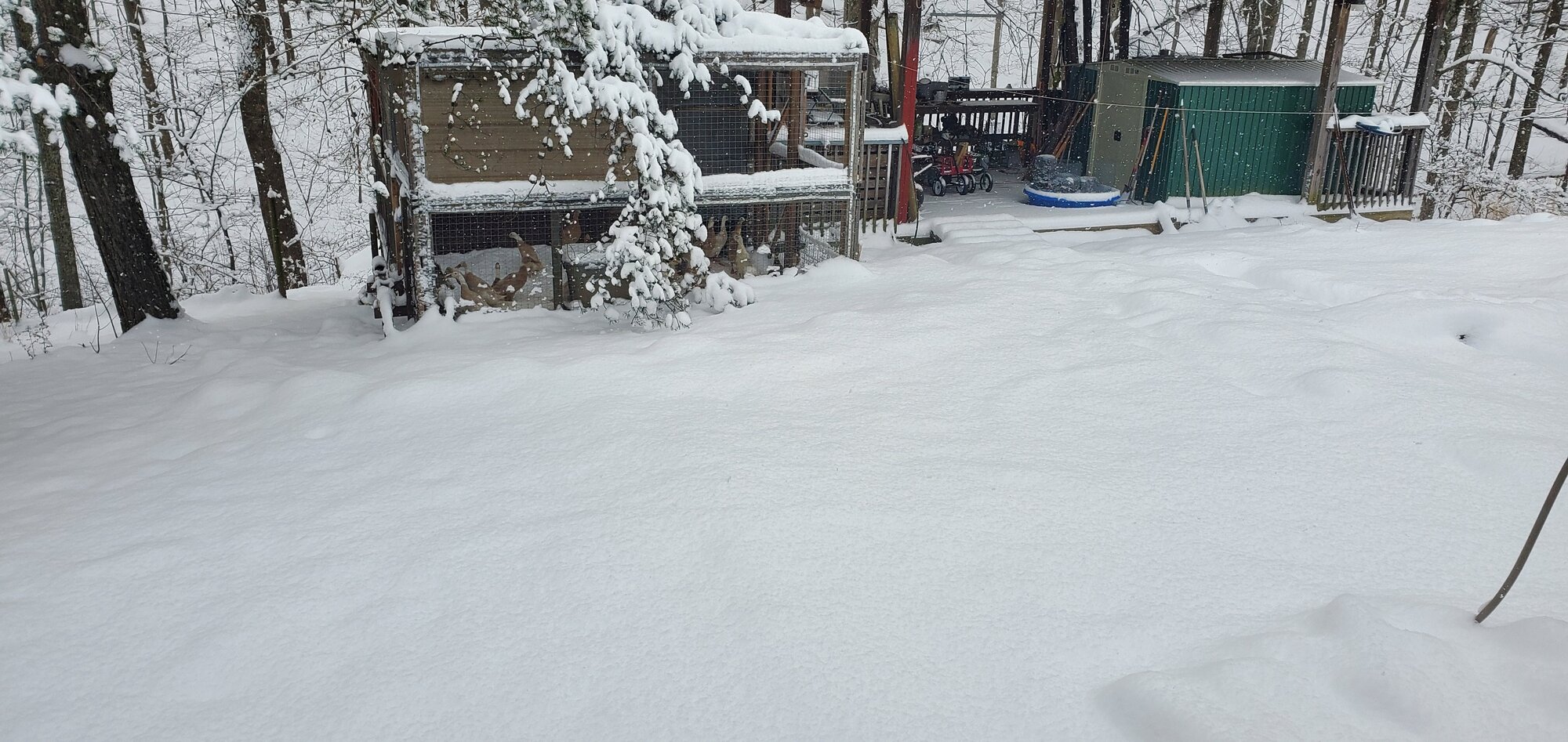 After the first snow-storm of 2022