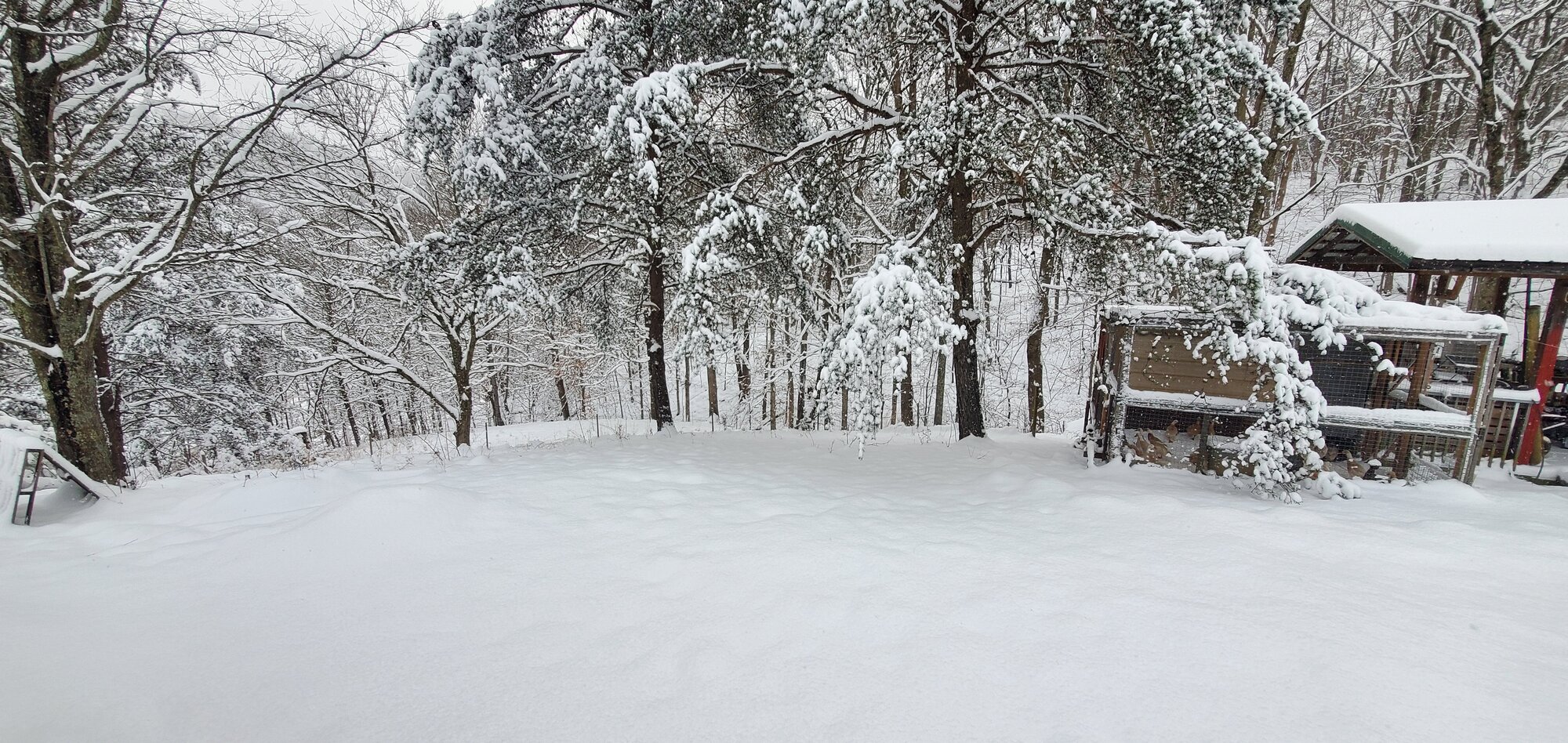 After the first snow-storm of 2022